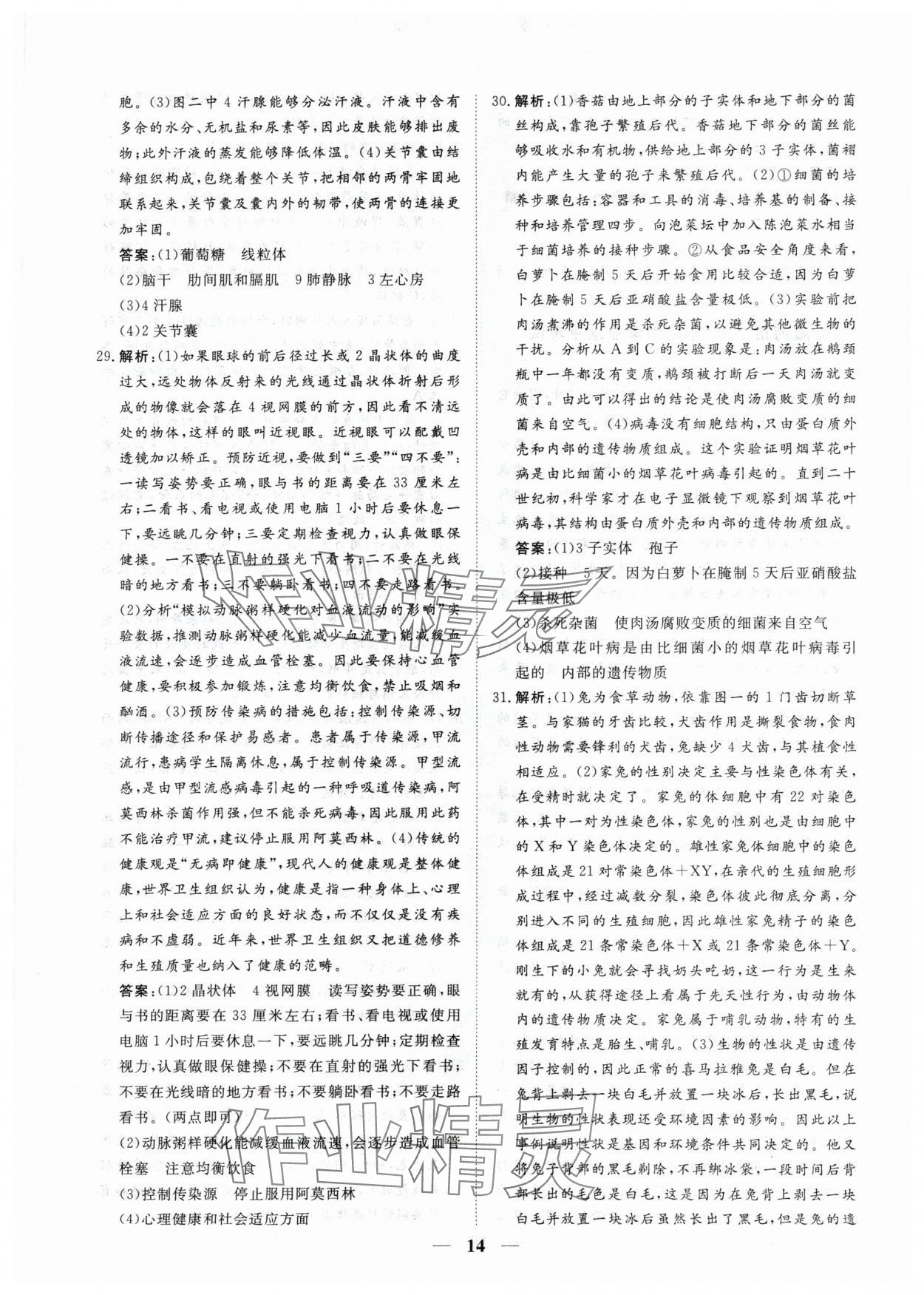 2024年風向標初中學業水平測試山東省各地市中考試題匯編生物 參考答案第14頁