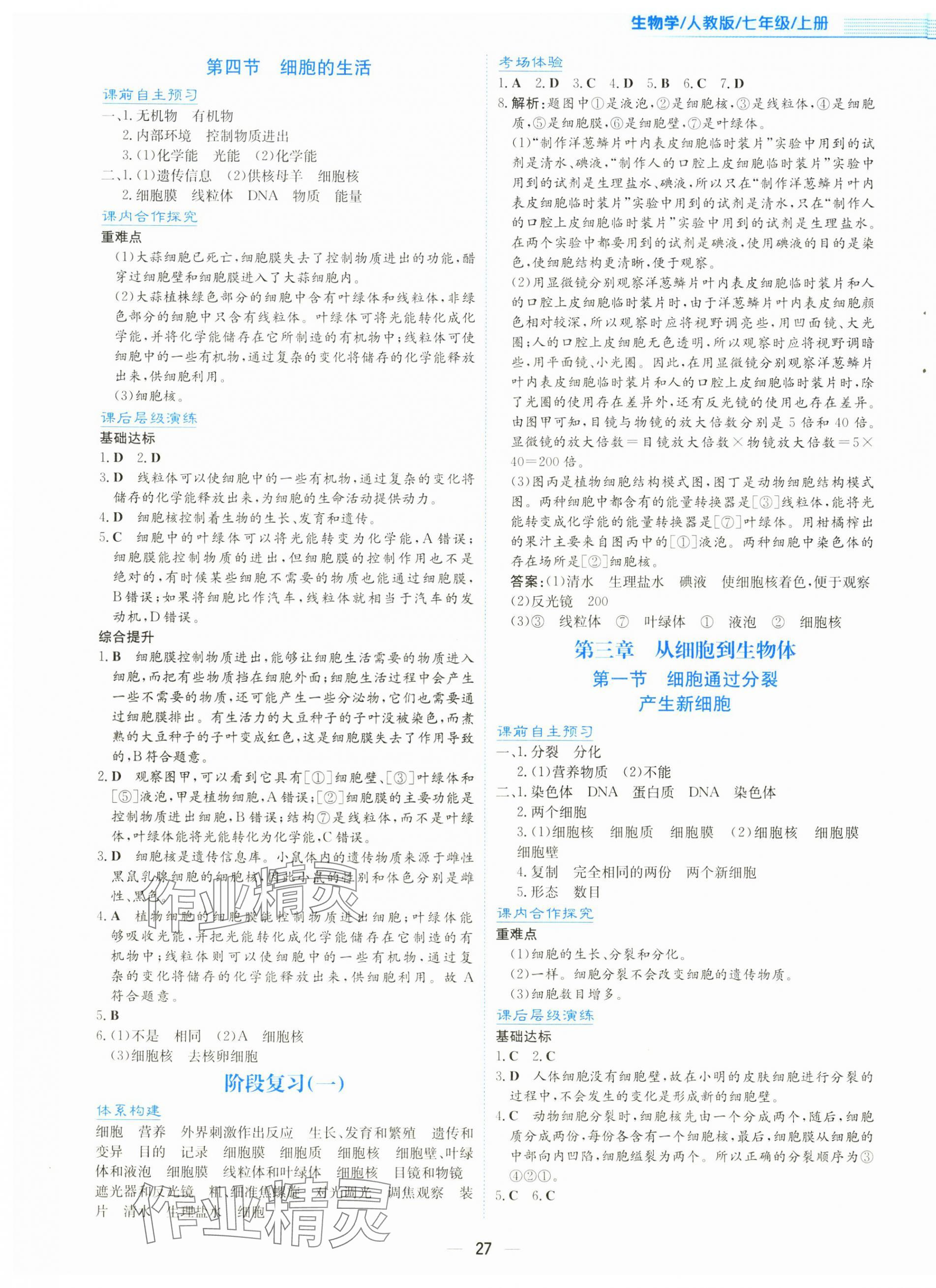 2025年新编基础训练七年级生物上册人教版 第3页