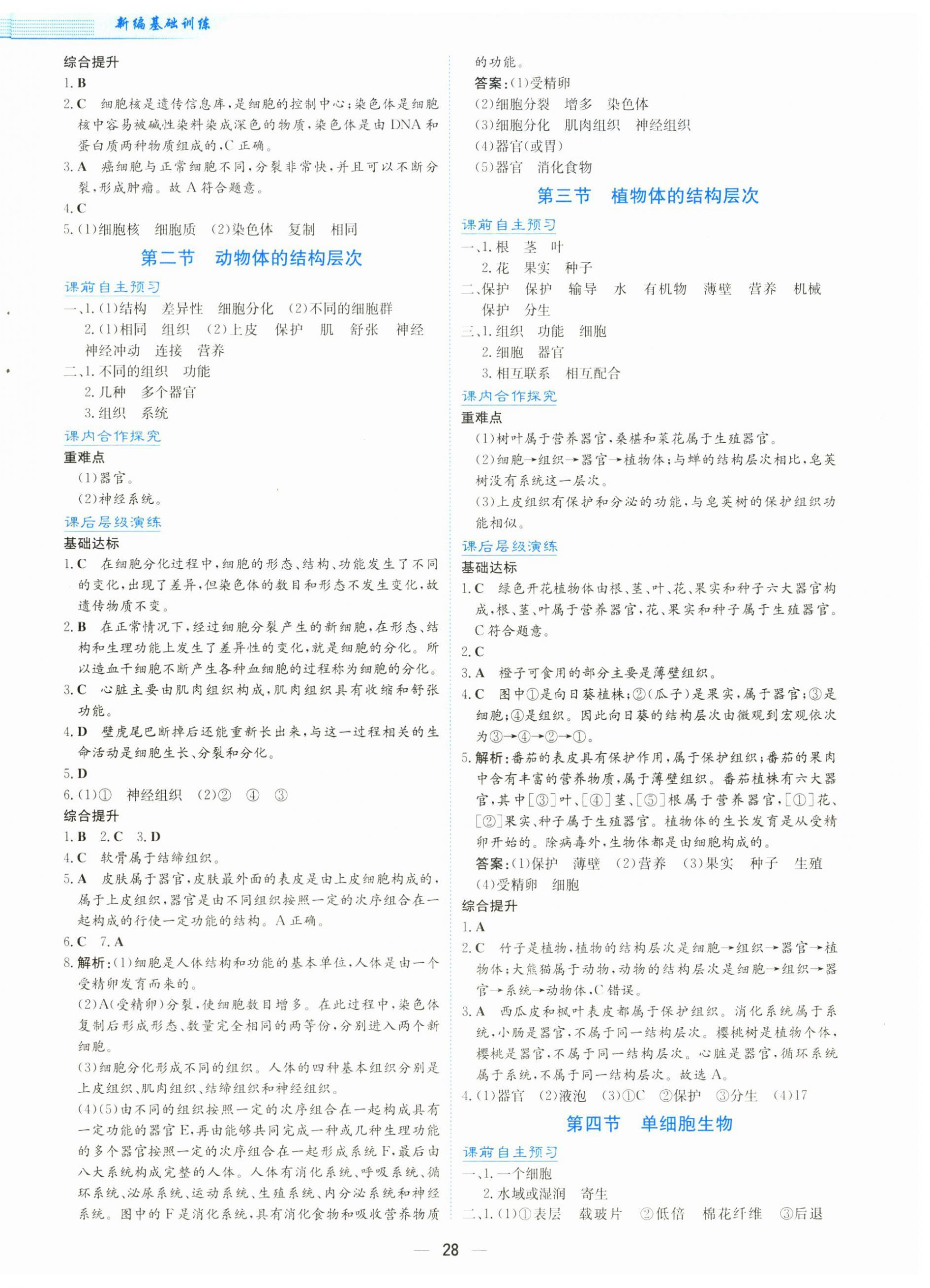 2025年新编基础训练七年级生物上册人教版 第4页