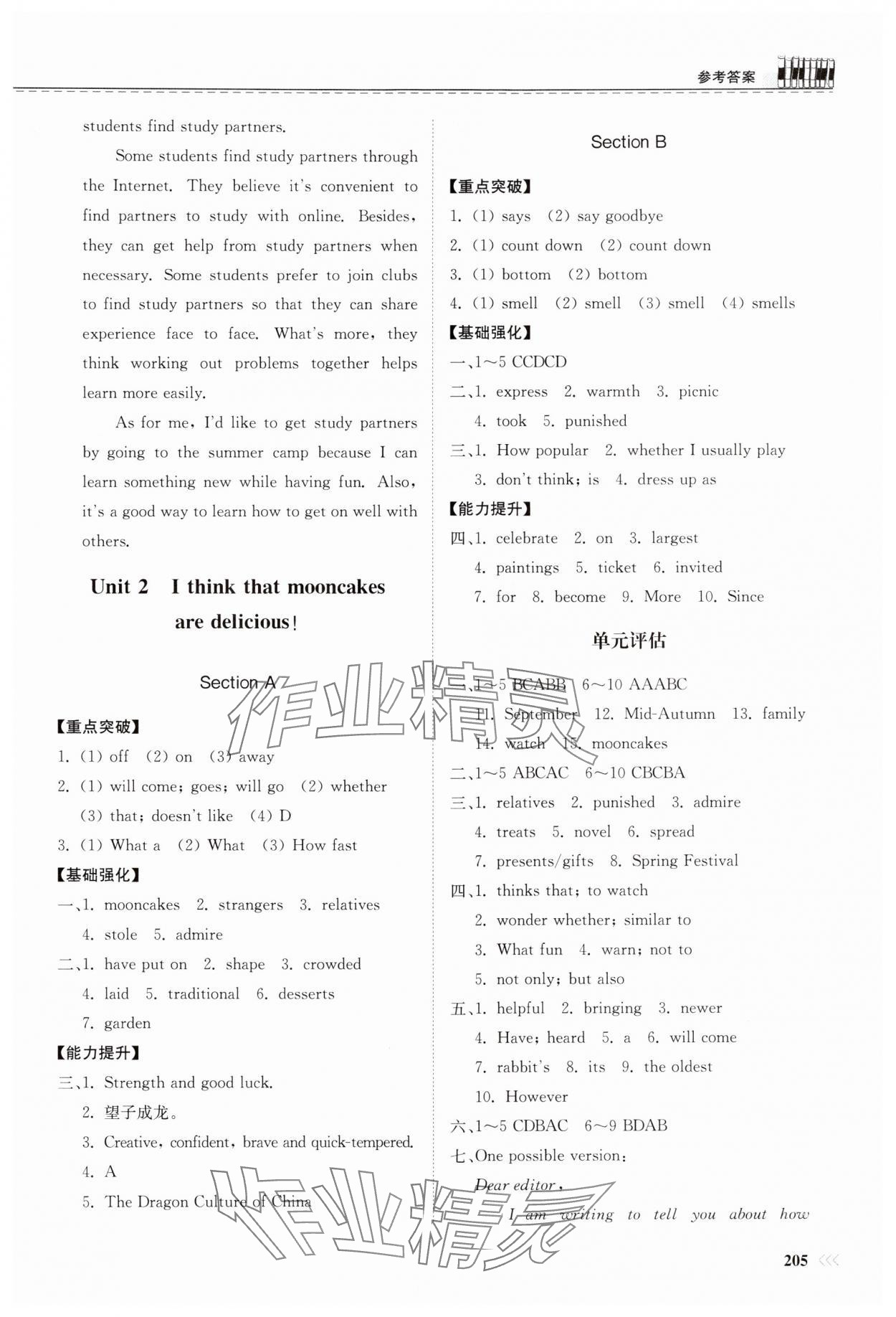 2024年同步練習冊山東科學技術(shù)出版社九年級英語全一冊人教版 參考答案第2頁