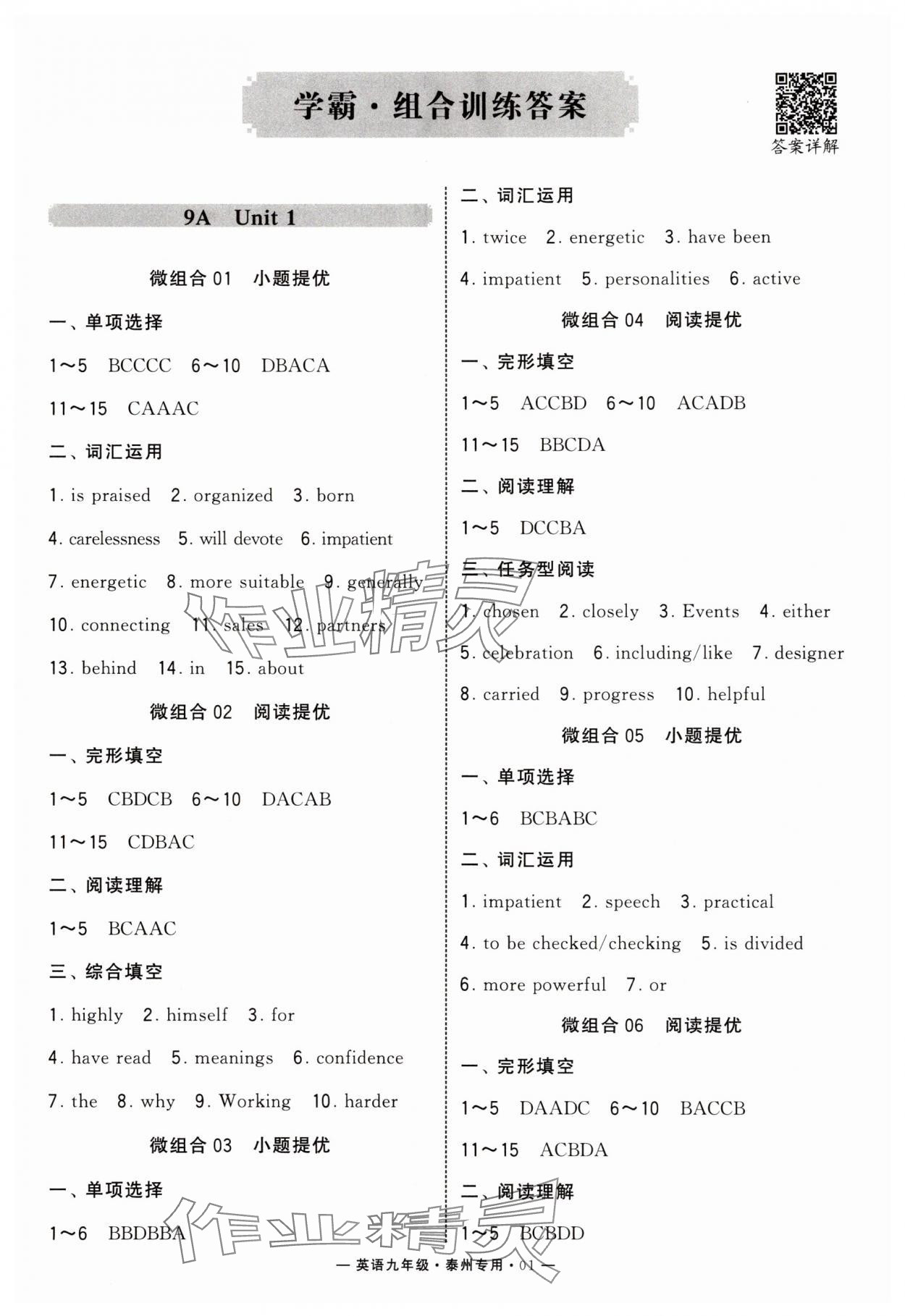 2025年學(xué)霸組合訓(xùn)練九年級英語全一冊譯林版泰州專版 第3頁