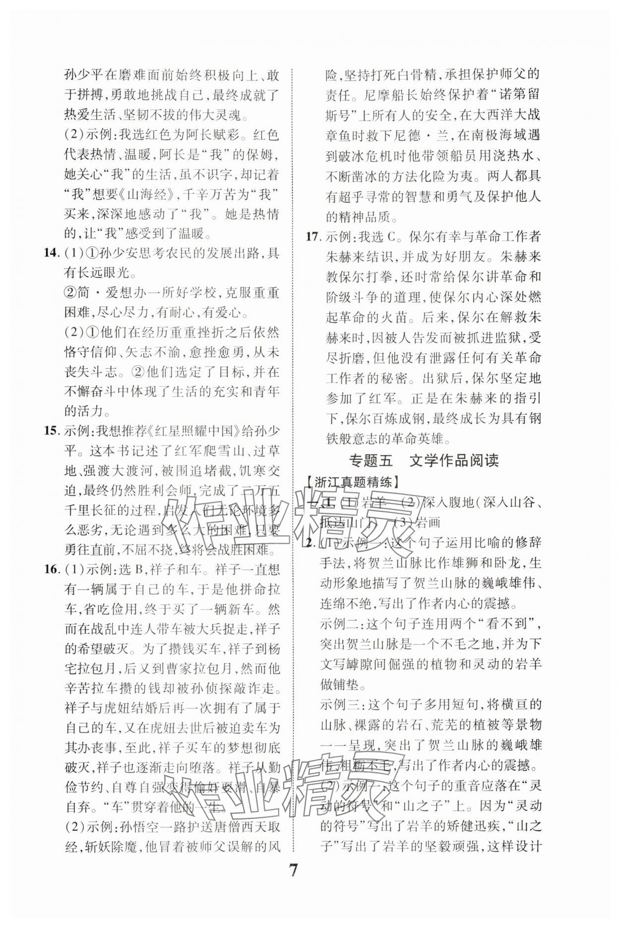 2024年浙江中考優化指導語文 第7頁