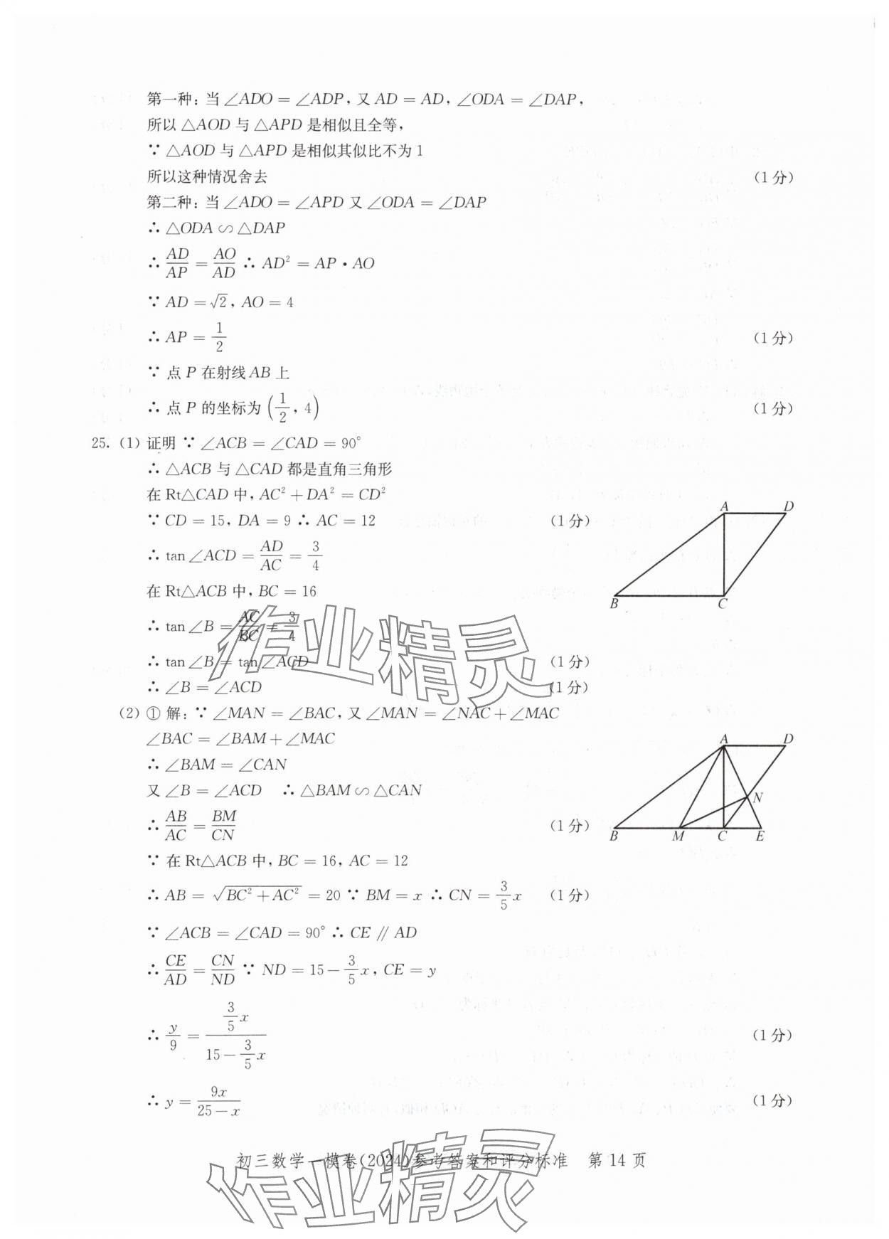 2024年文化課強化訓練數(shù)學 參考答案第14頁