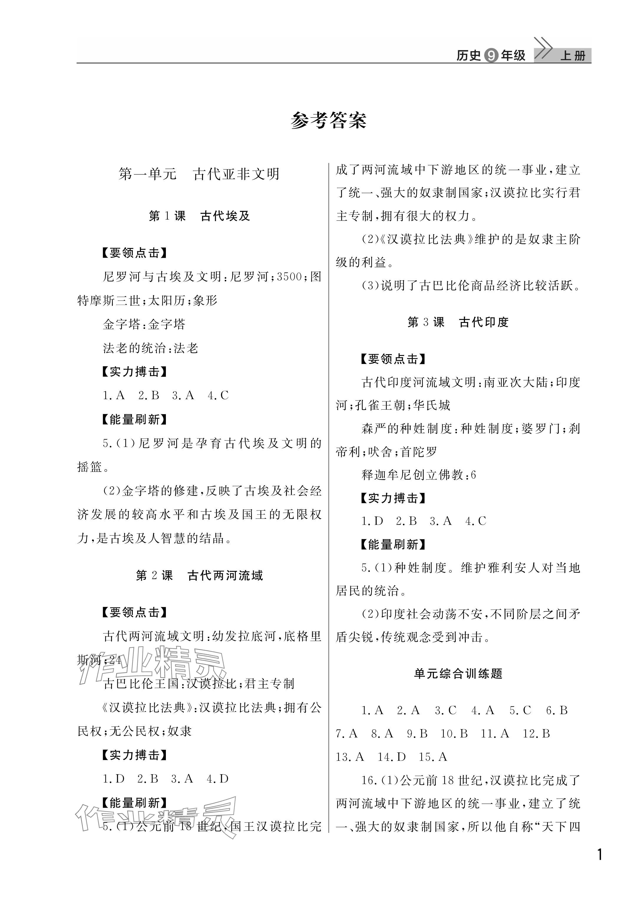 2025年课堂作业武汉出版社九年级历史上册人教版 参考答案第1页