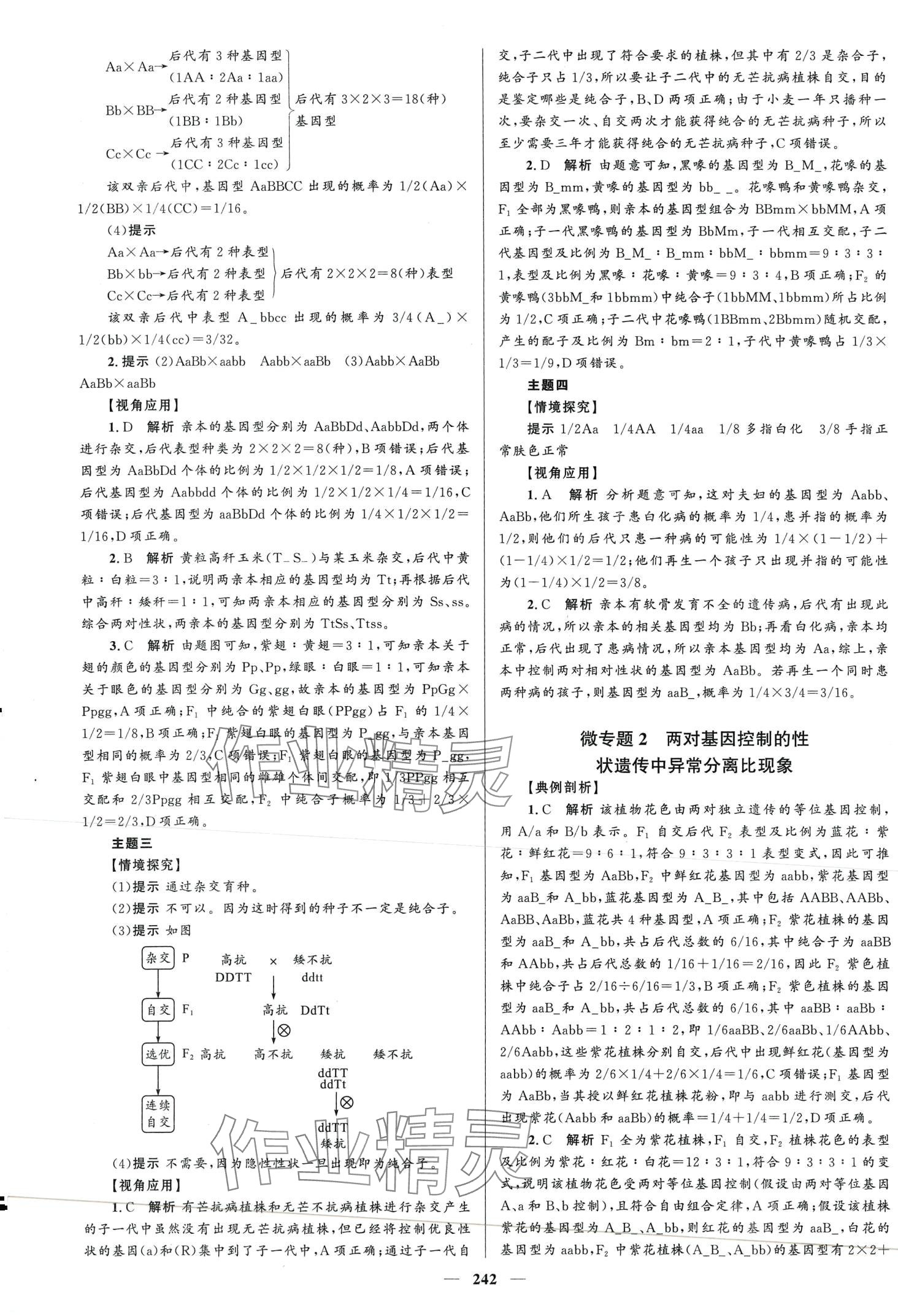 2024年高中同步學(xué)案優(yōu)化設(shè)計高中生物必修2人教版 第5頁