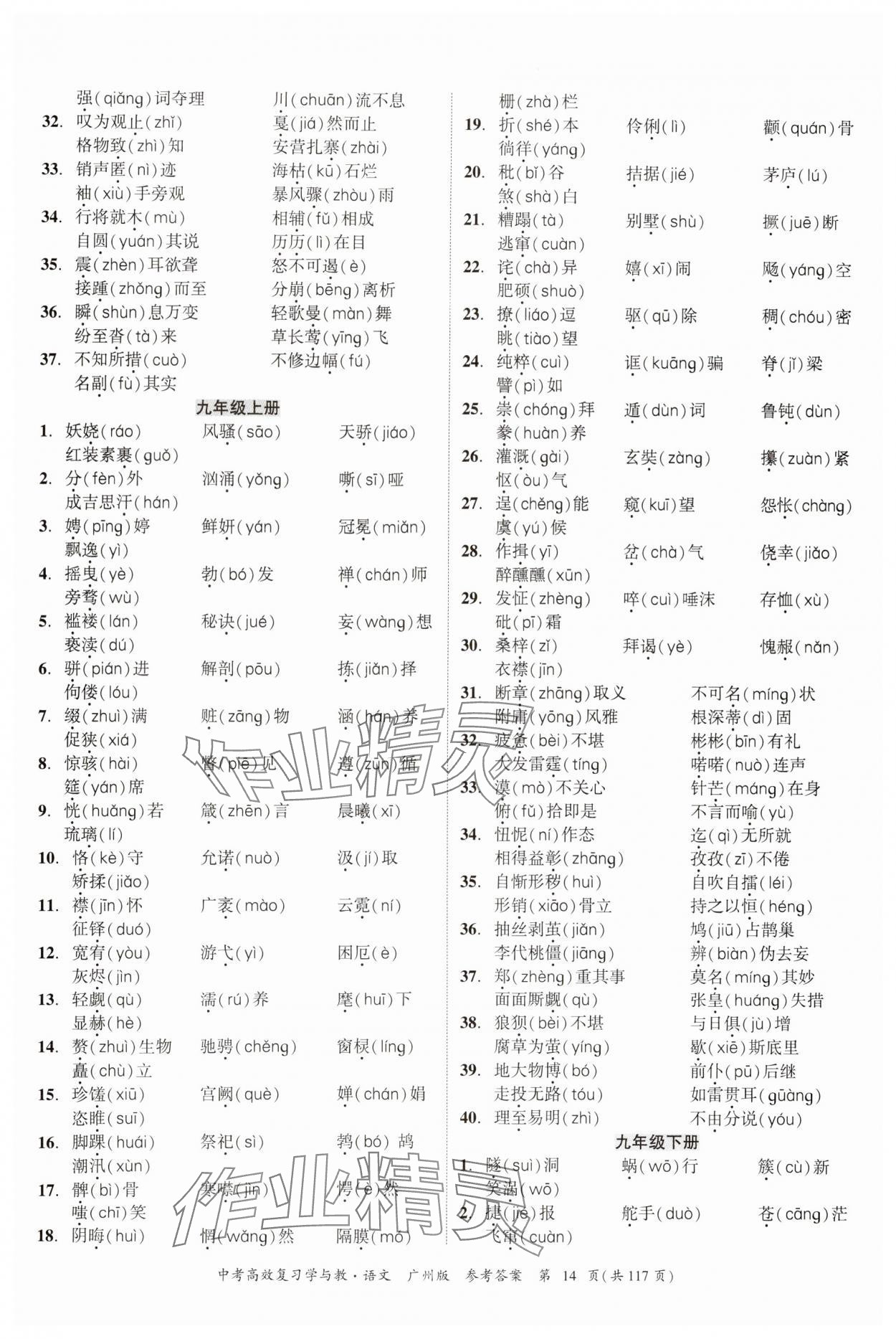 2024年中考高效復習學與教語文廣州專版 參考答案第14頁