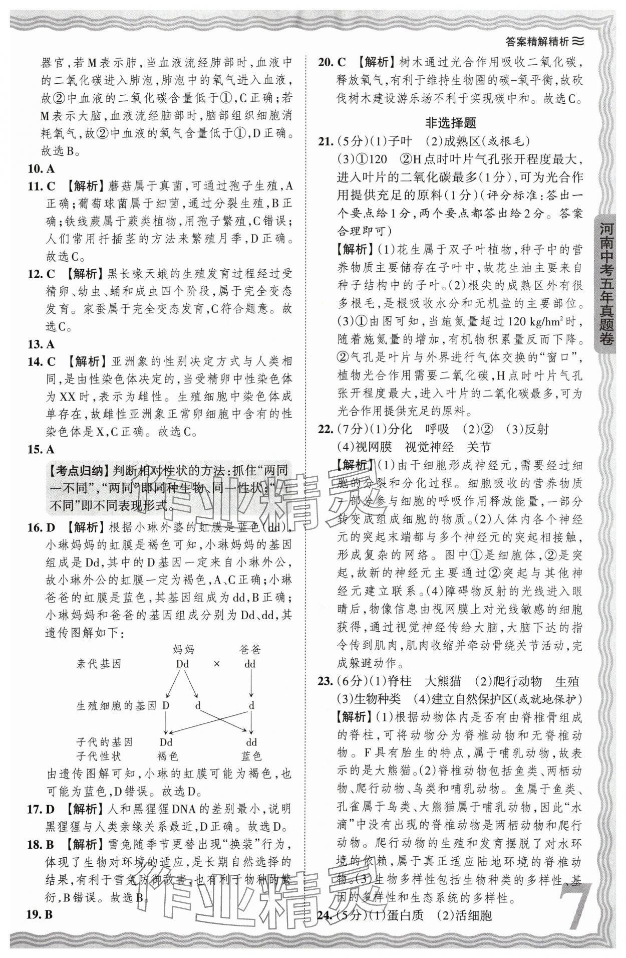 2024年王朝霞中考真题精编生物河南专版 参考答案第7页