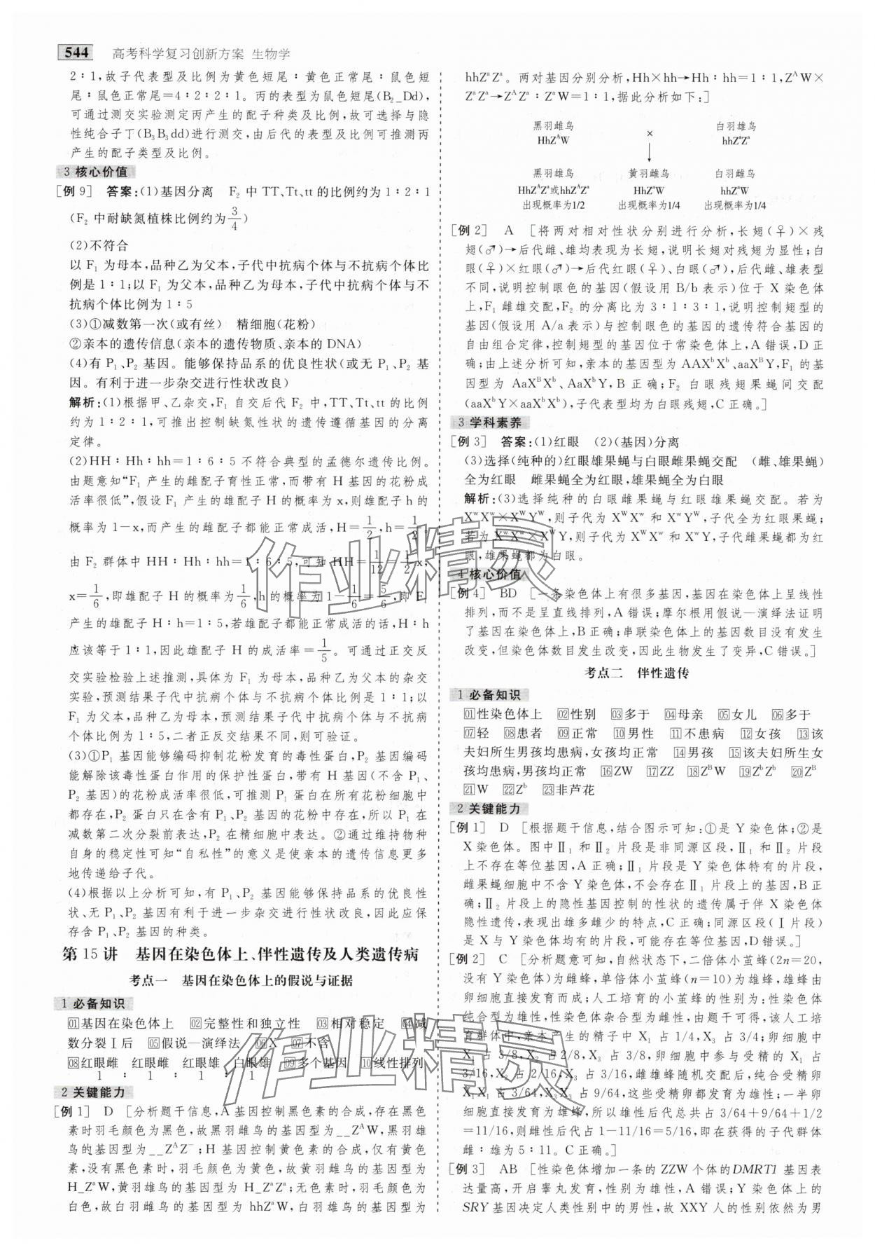 2025年金版教程高考科學(xué)復(fù)習(xí)解決方案生物創(chuàng)新版 第30頁