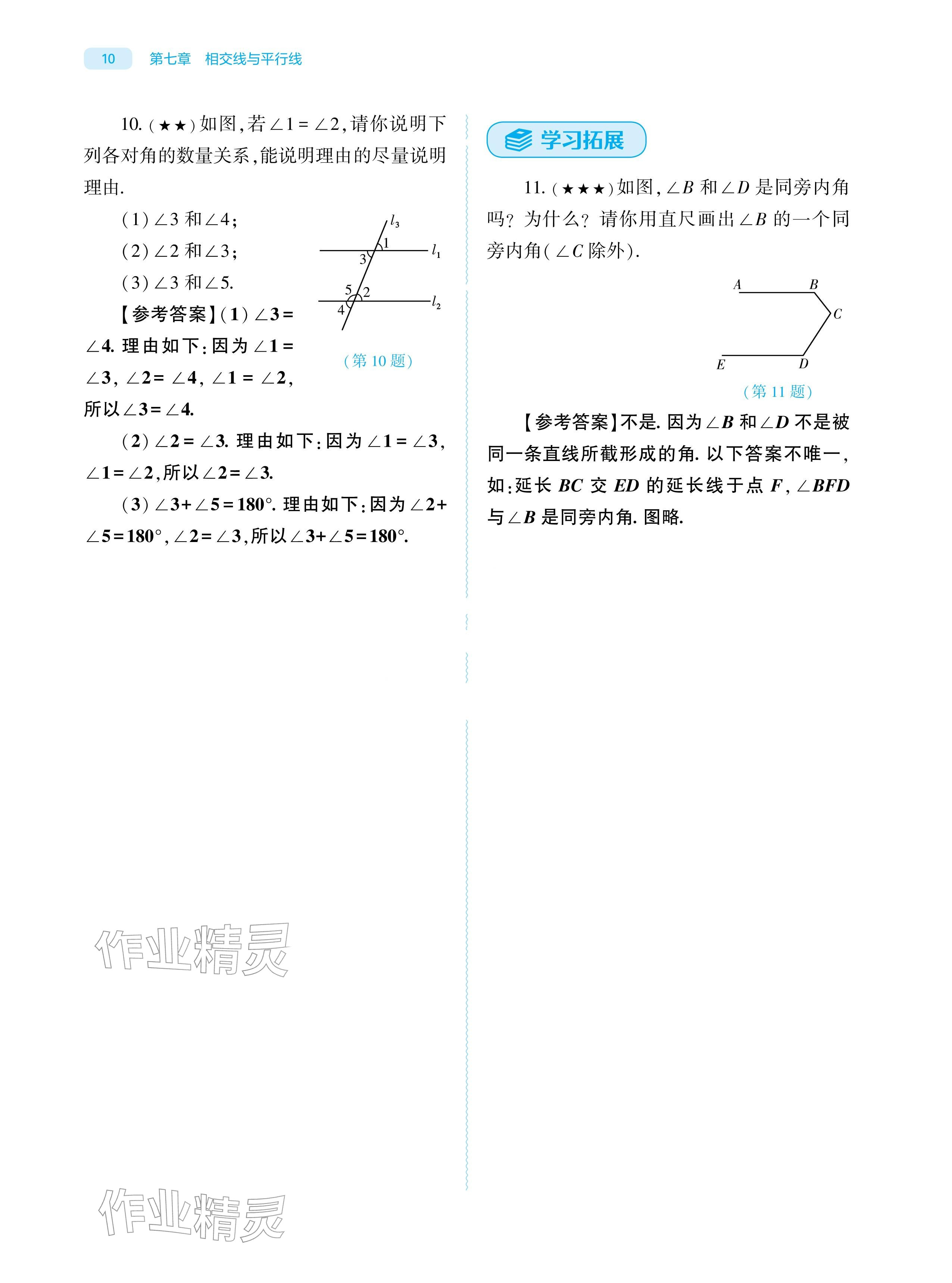 2026年基础训练大象出版社七年级数学下册人教版&nbsp;参考答案第10页