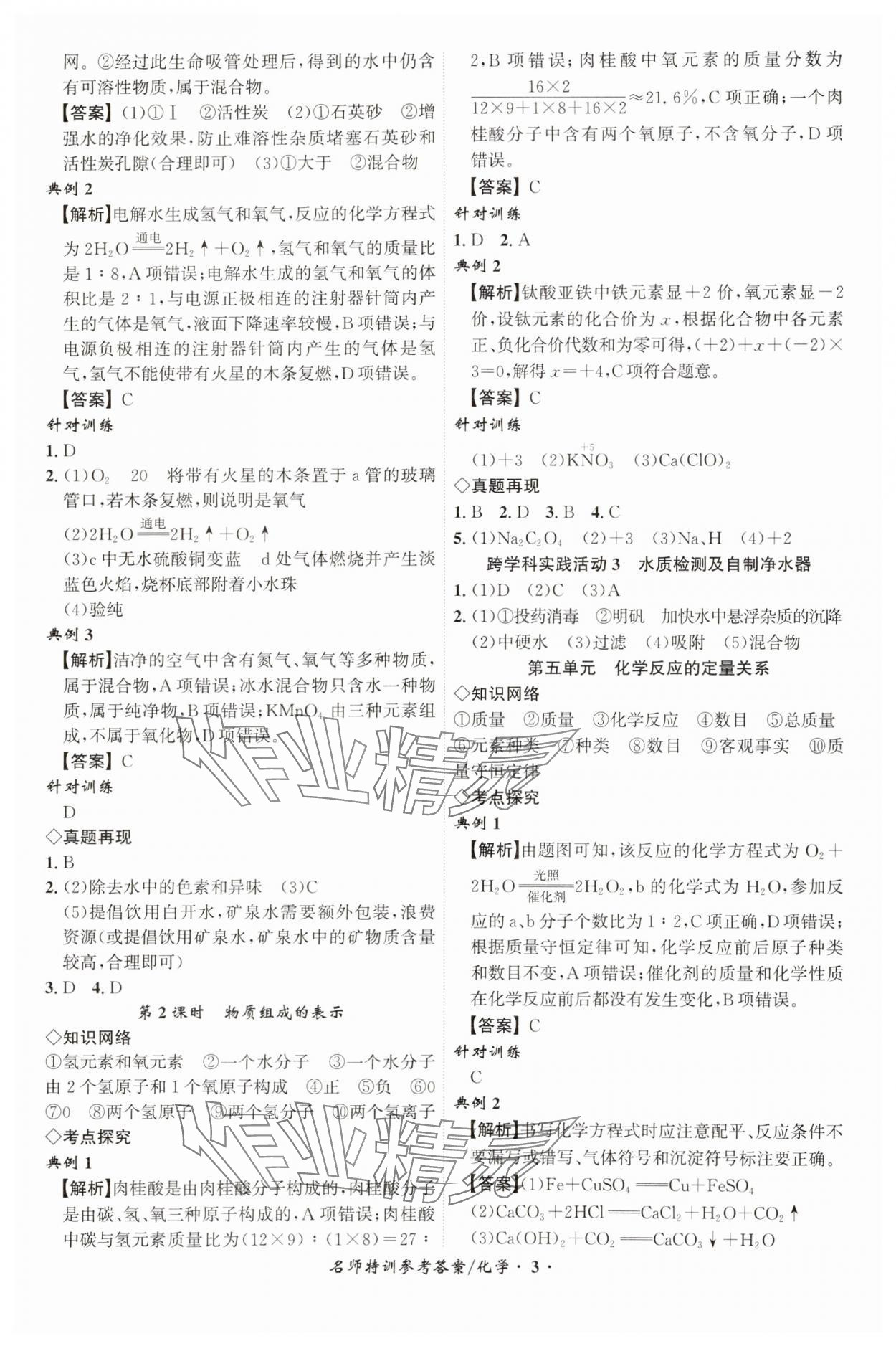 2025年名師特訓(xùn)化學(xué)安徽專版 第3頁