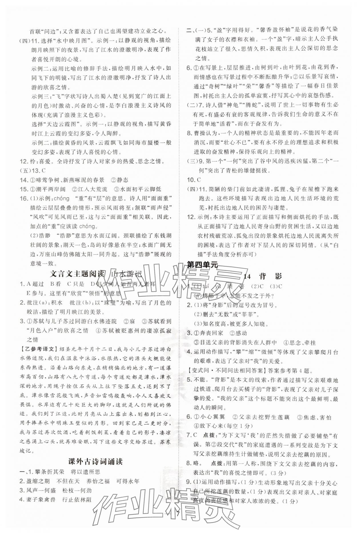 2024年點(diǎn)撥訓(xùn)練八年級語文上冊人教版安徽專版 第7頁