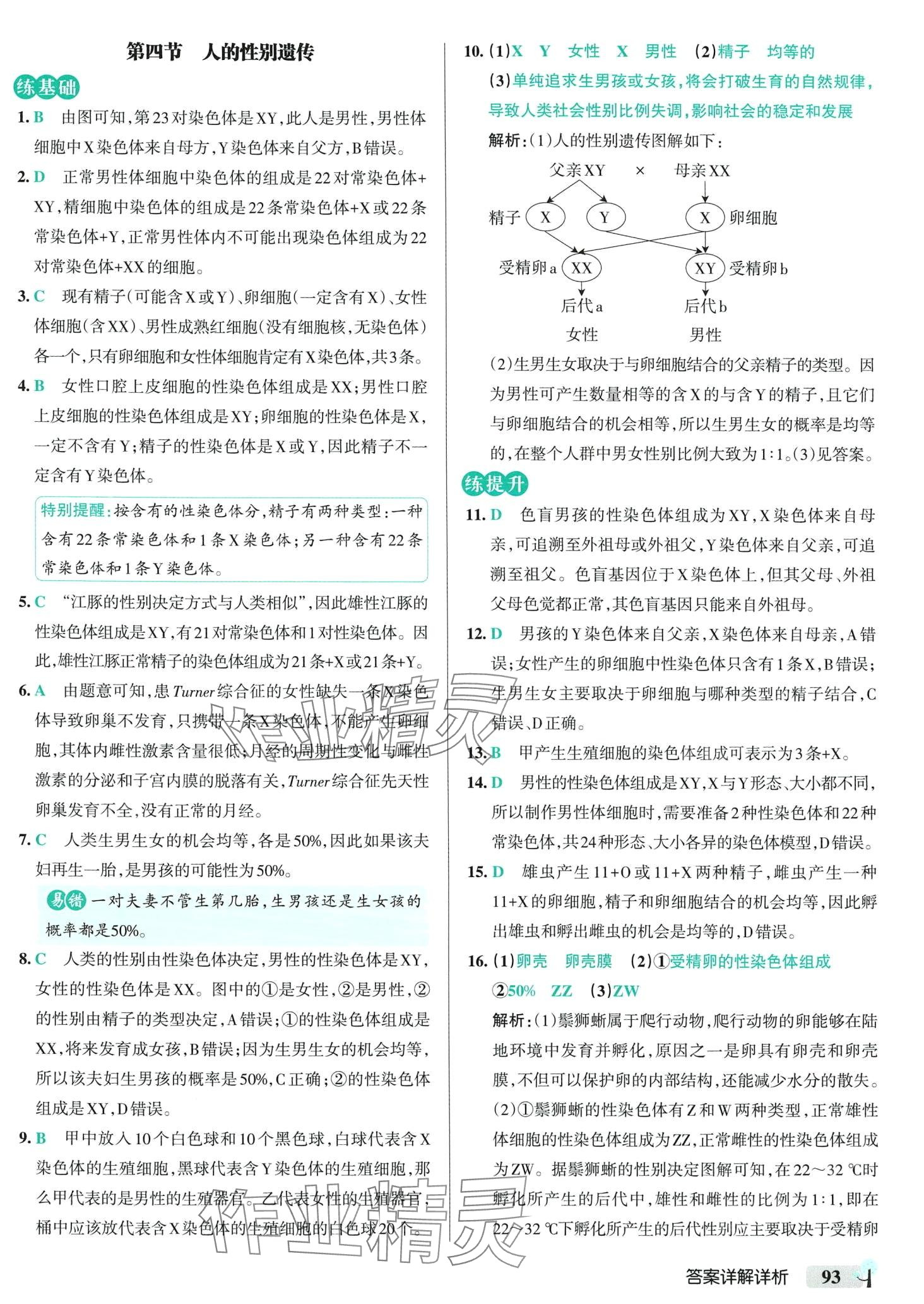 2024年初中學(xué)霸創(chuàng)新題八年級(jí)生物下冊(cè)人教版 參考答案第11頁(yè)