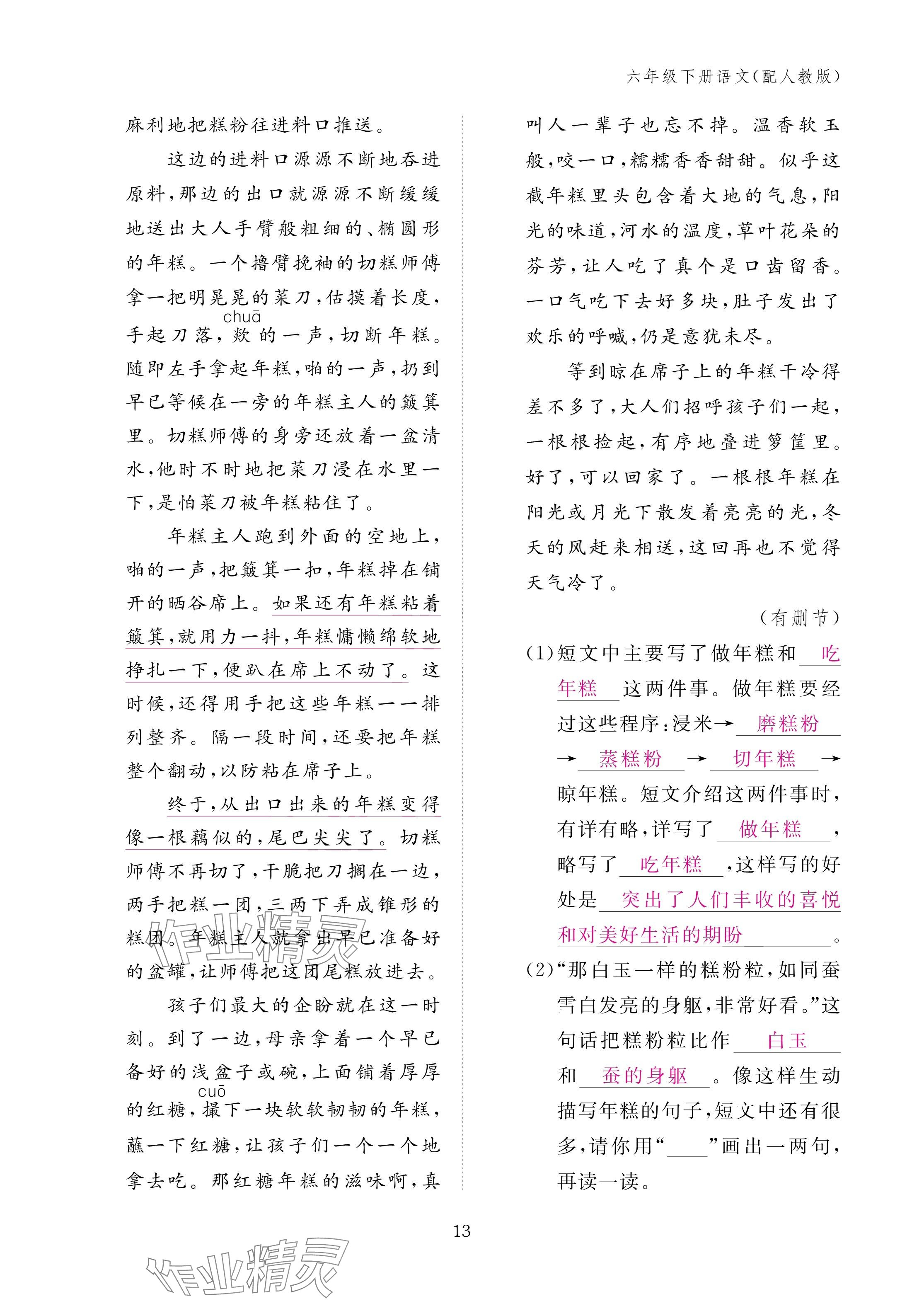 2025年作業(yè)本江西教育出版社六年級語文下冊人教版 參考答案第13頁