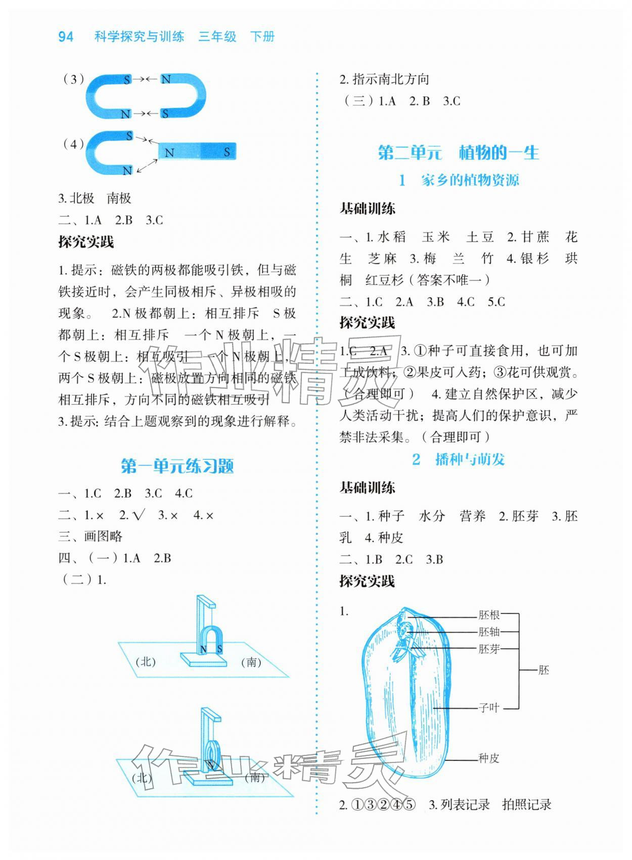 2026年科学探究与训练三年级科学下册大象版&nbsp;参考答案第2页