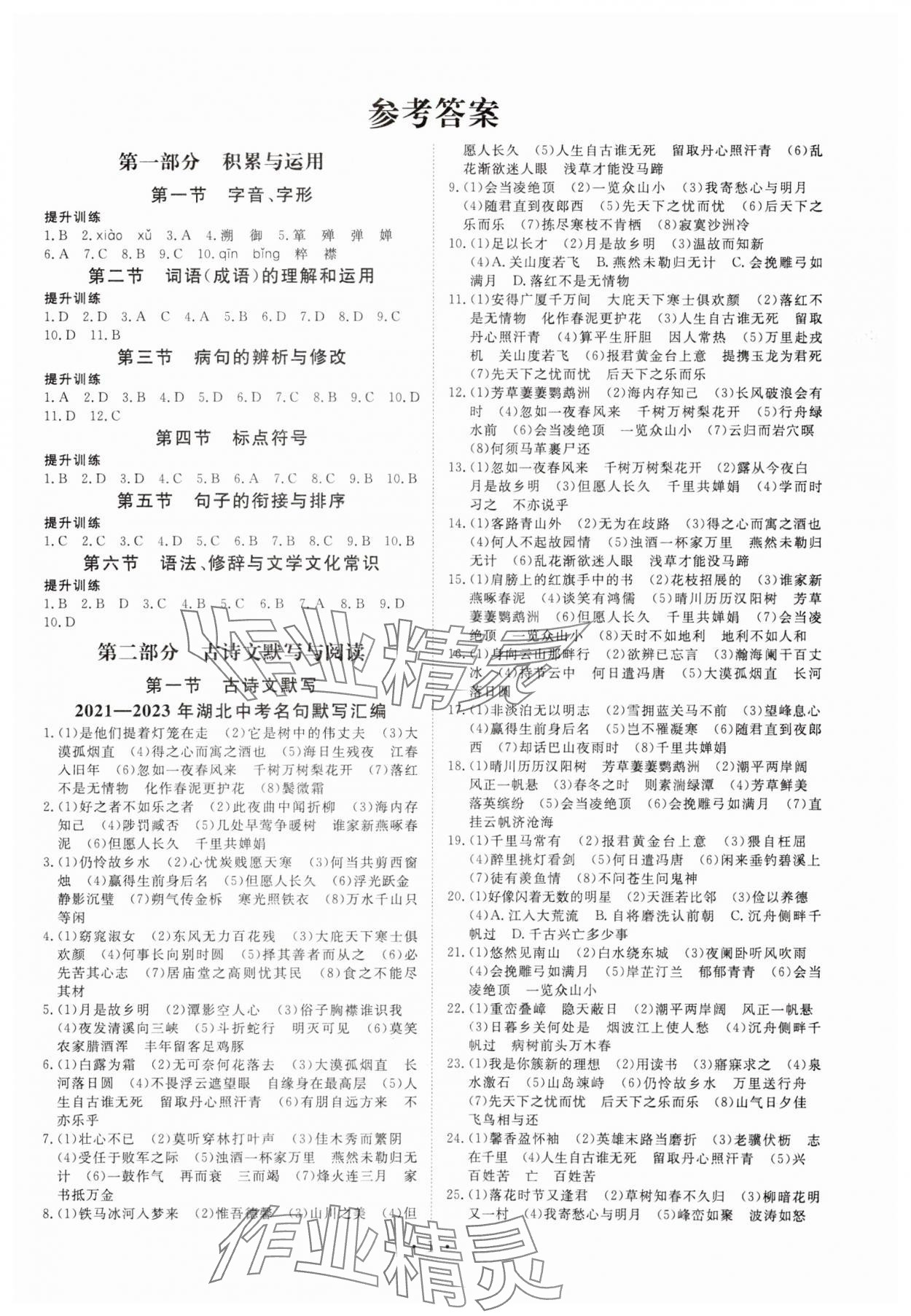 2024年湖北中考初中學(xué)業(yè)水平考試總復(fù)習(xí)語(yǔ)文 第1頁(yè)