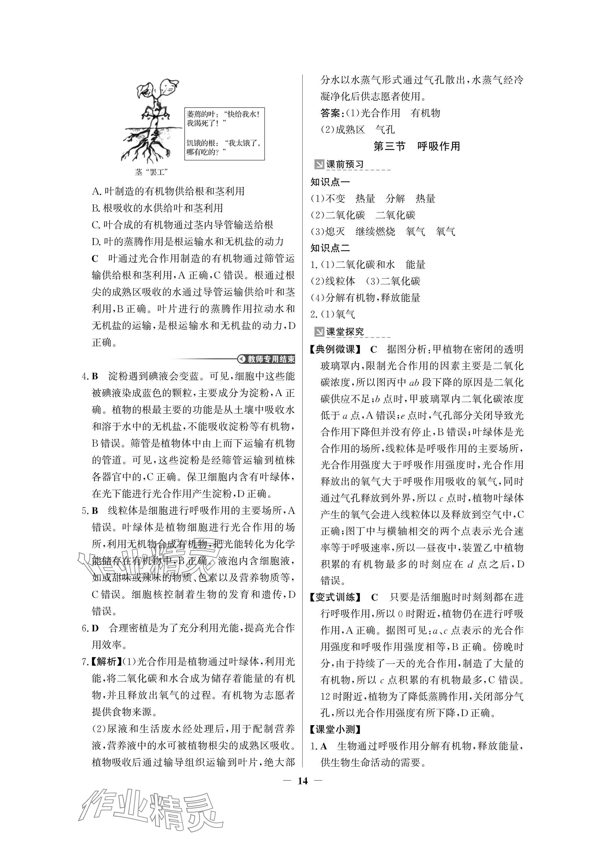 2025年南方新課堂金牌學案七年級生物下冊人教版深圳專版 參考答案第14頁