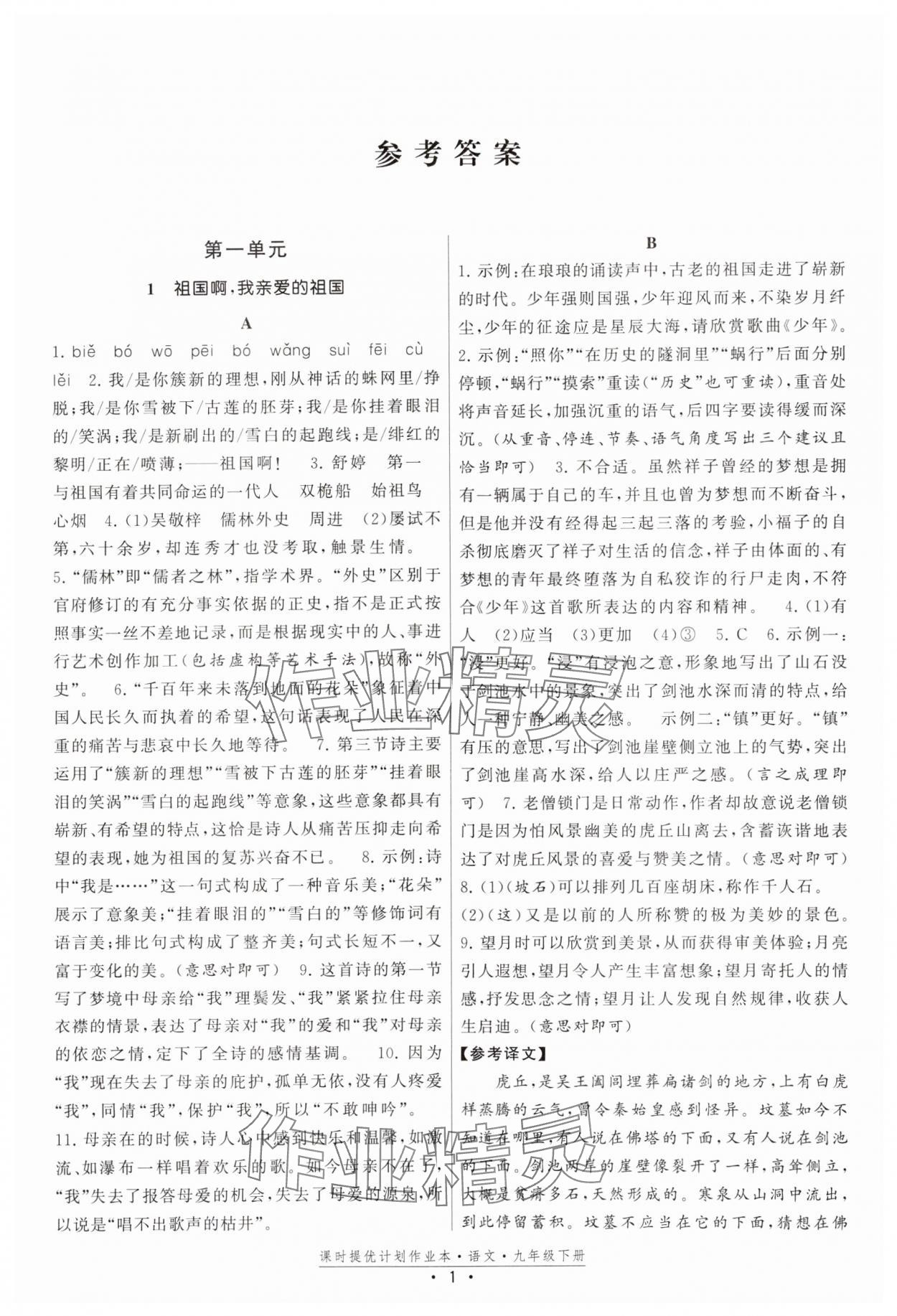 2025年課時提優(yōu)計劃作業(yè)本九年級語文下冊人教版 第1頁