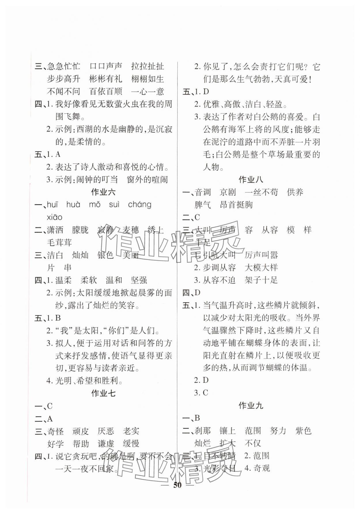 2025年金峰教育暑假作业假期计划四年级语文人教版 第2页
