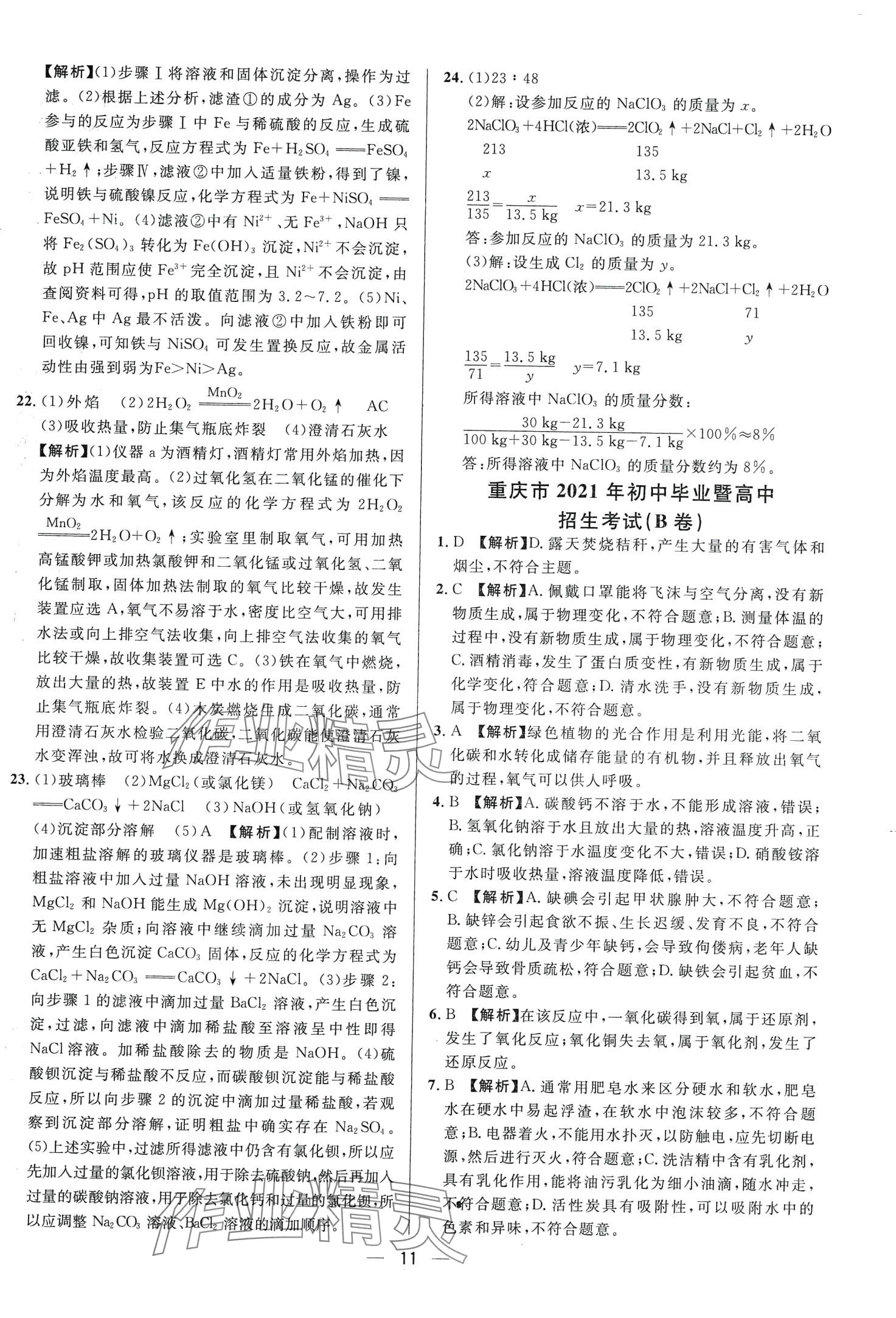 2024年中考必備南方出版社化學重慶專版 第13頁