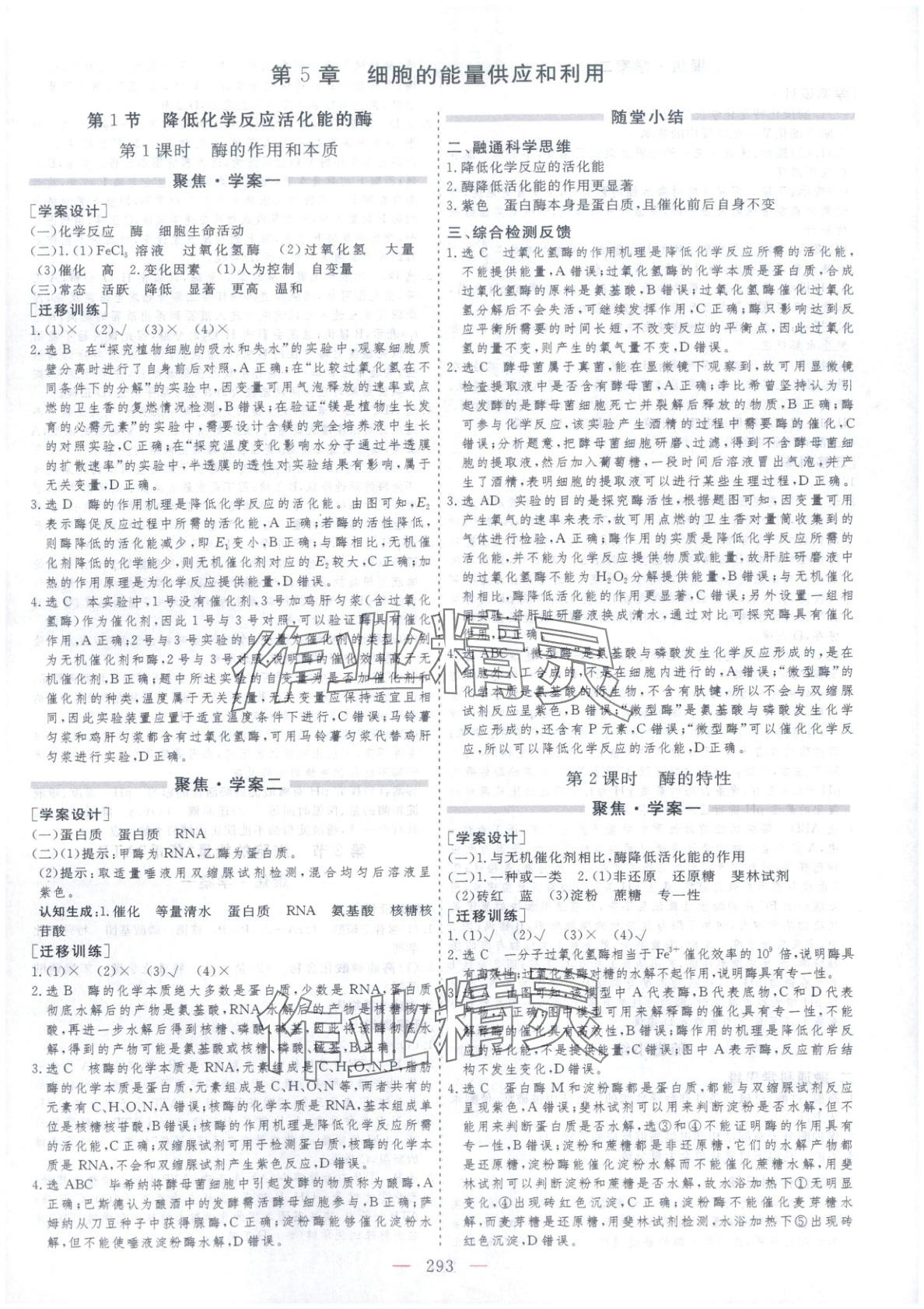 2025年芝麻开花美在课堂高一生物必修第一册人教版&nbsp;第17页