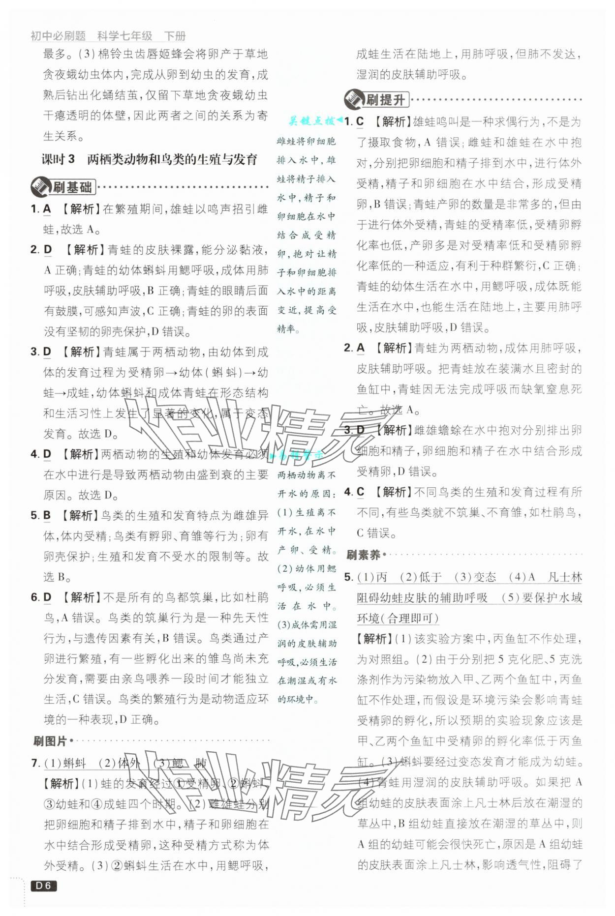 2025年初中必刷題七年級科學下冊浙教版浙江專版 參考答案第6頁