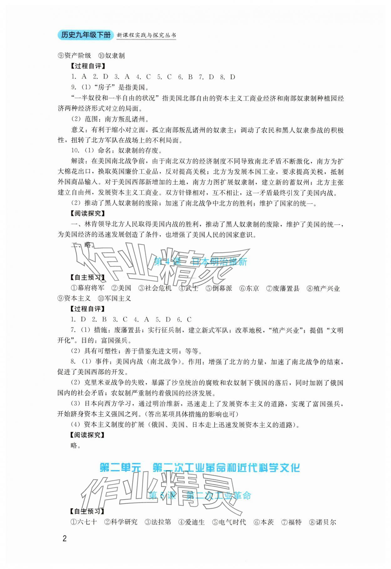 2025年新课程实践与探究丛书九年级历史下册人教版 第2页