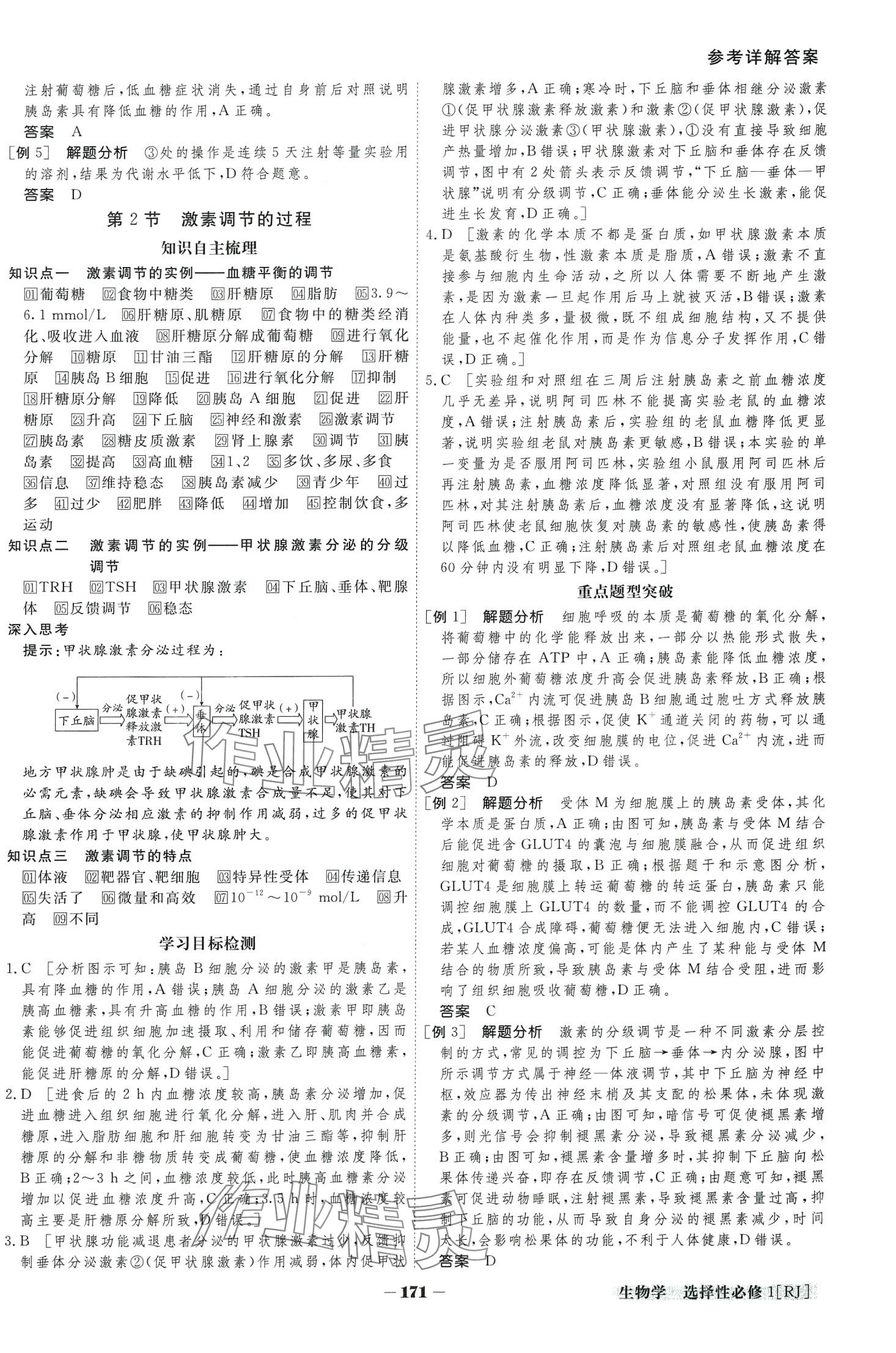 2024年金版教程高中新课程创新导学案高中生物选择性必修1人教版 第9页