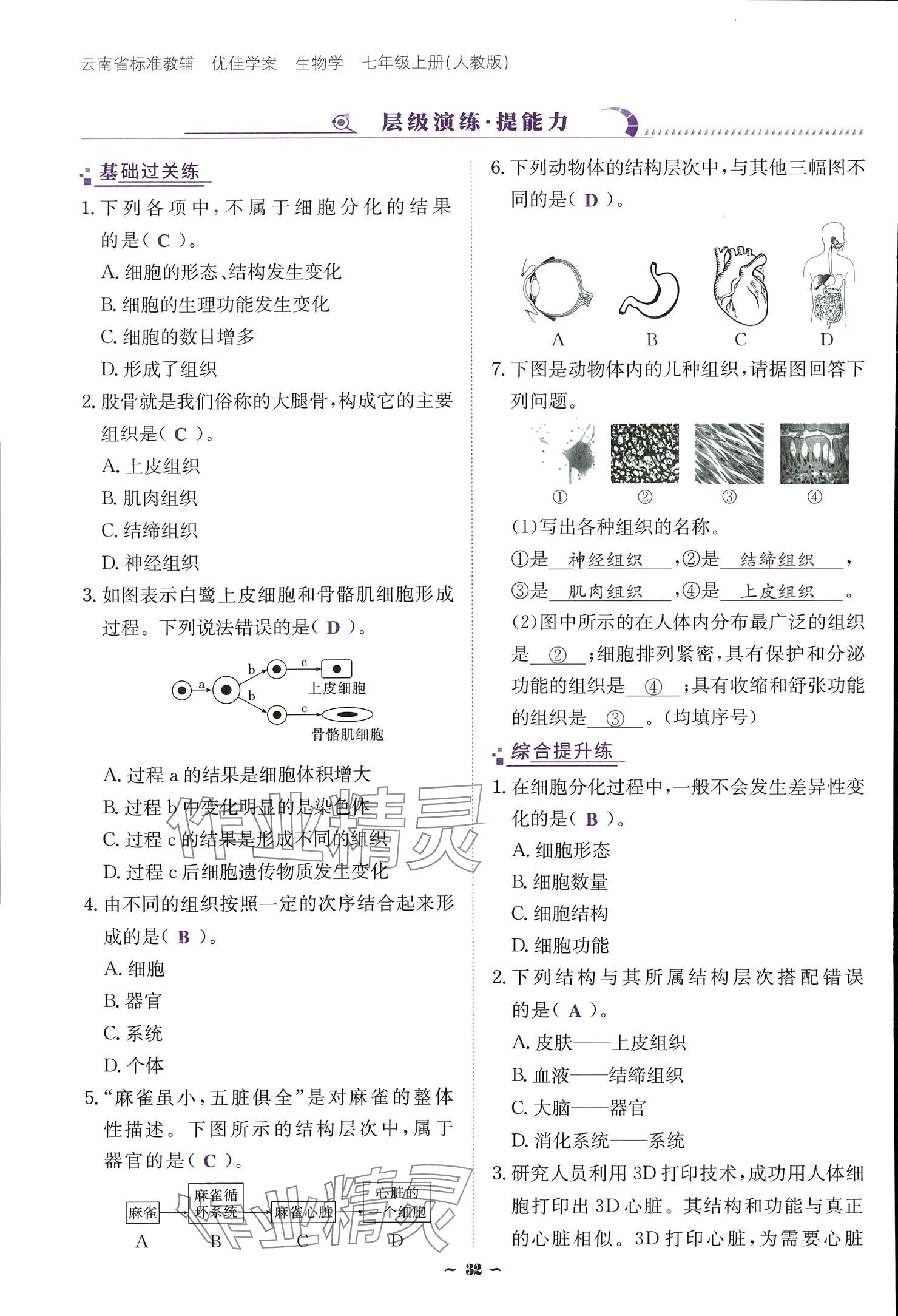 2024云南省標準教輔優(yōu)佳學案七年級生物上冊 參考答案第32頁