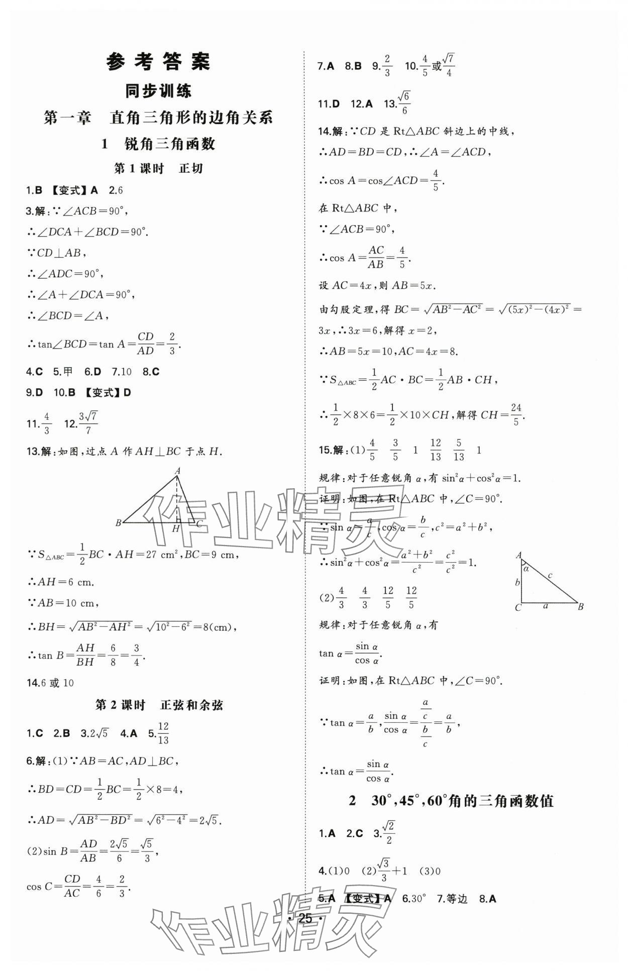 2025年一本九年級數(shù)學(xué)下冊北師大版陜西專版 第1頁