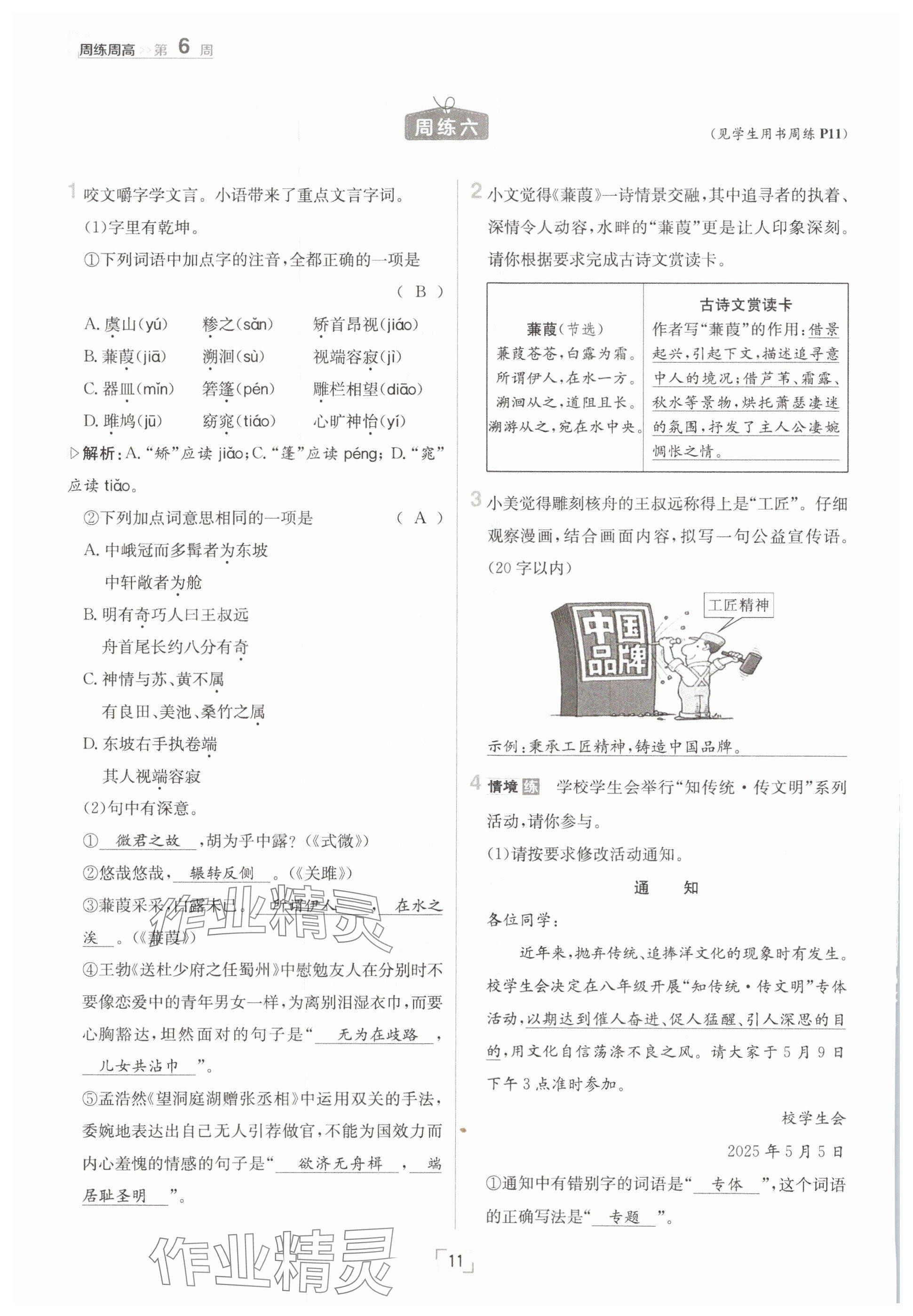 2025年日清周練八年級(jí)語文下冊人教版 參考答案第11頁