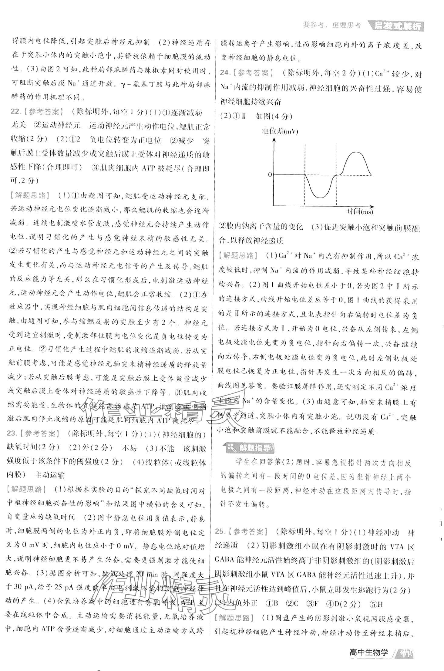 2024年金考卷活頁(yè)題選高中生物選擇性必修1人教版 第13頁(yè)