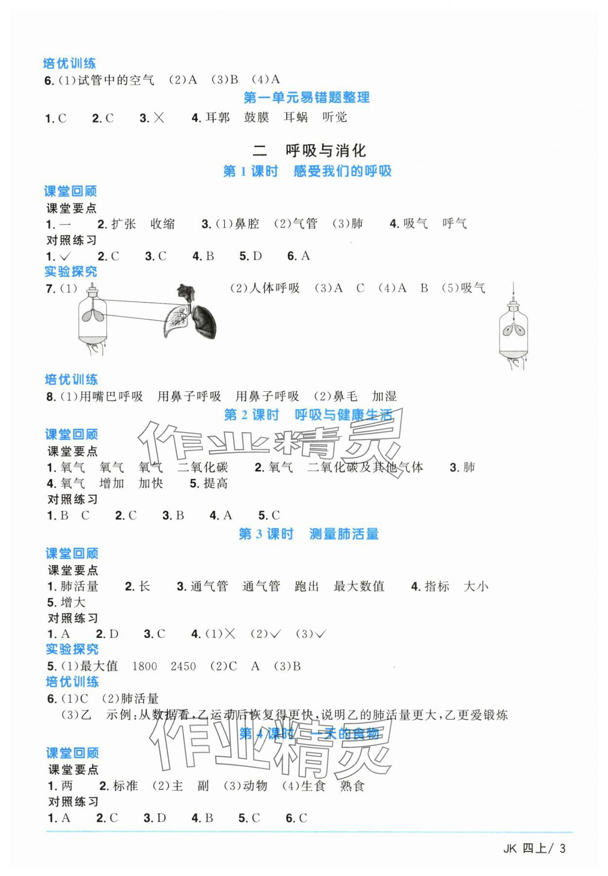 2024年阳光同学课时优化作业四年级科学上册教科版 第3页