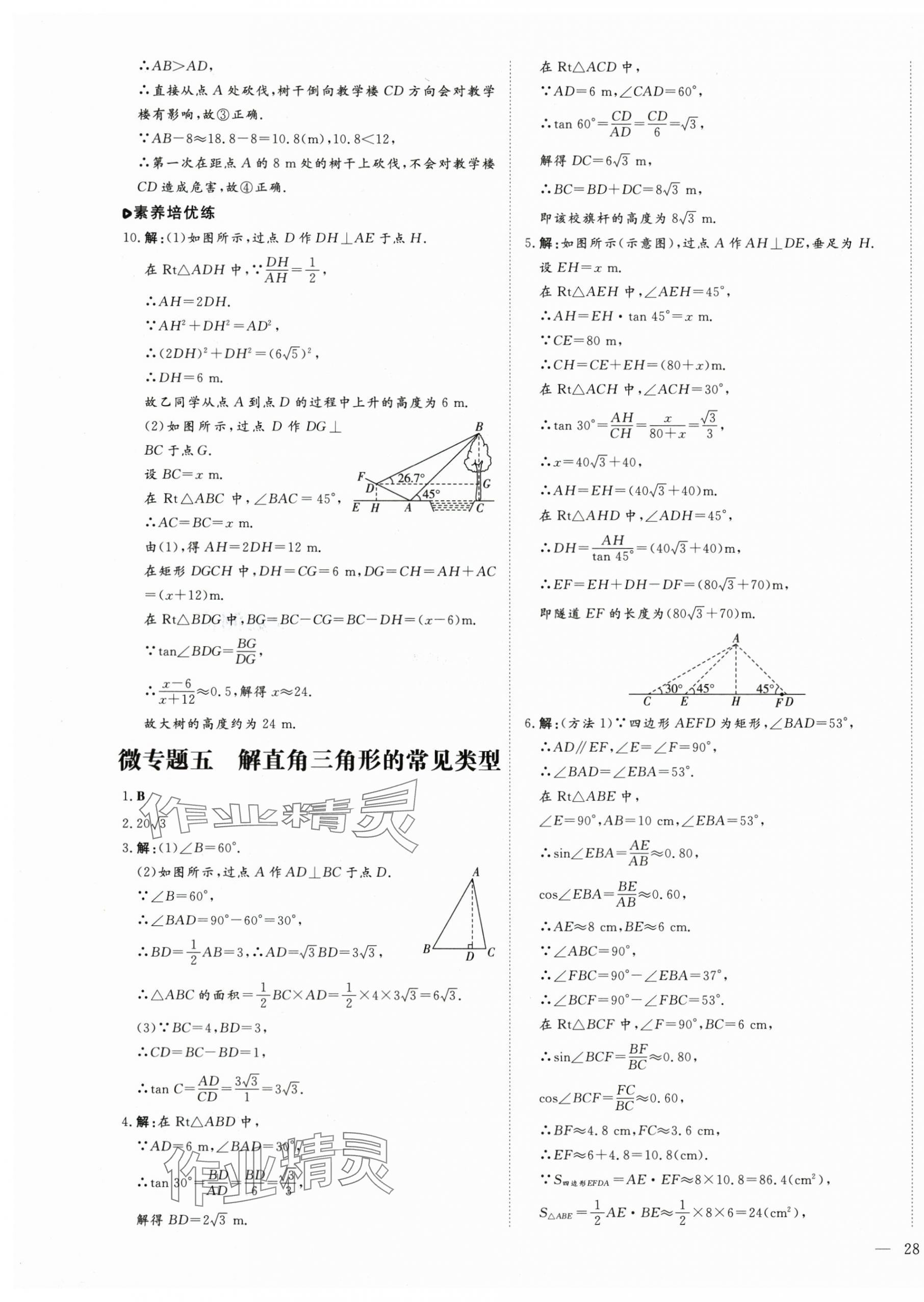 2024年练案九年级数学全一册鲁教版五四制 第11页