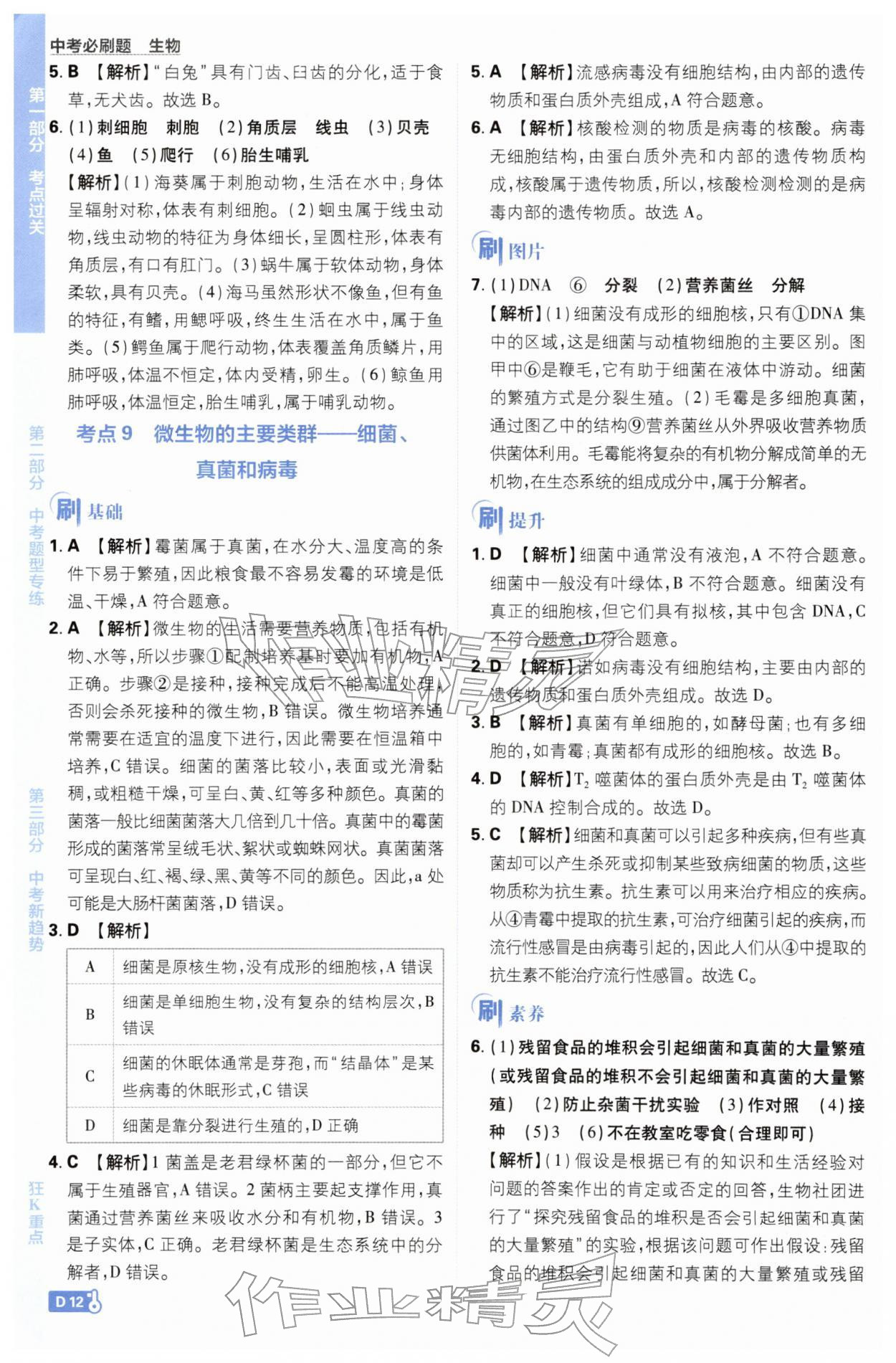 2026年中考必刷题开明出版社生物&nbsp;第12页