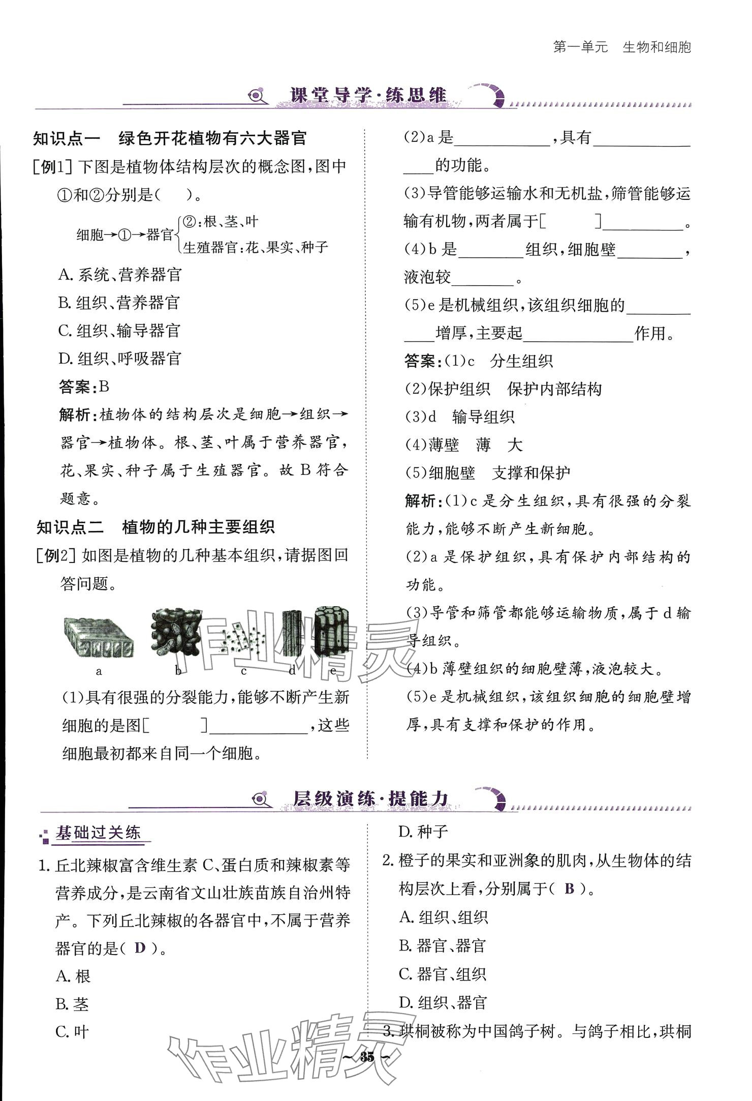 2024云南省標(biāo)準(zhǔn)教輔優(yōu)佳學(xué)案七年級生物上冊 參考答案第35頁