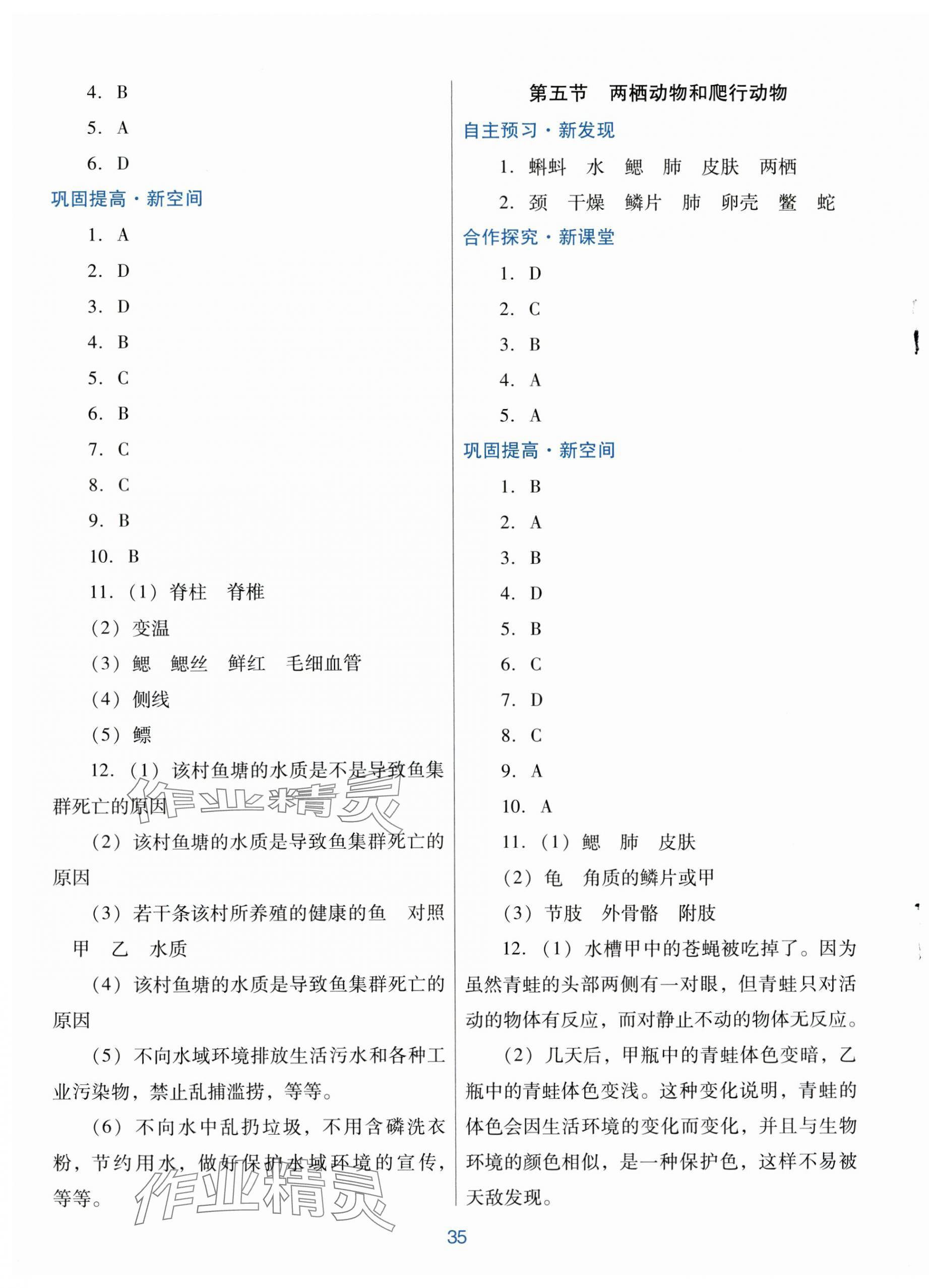 2024年南方新課堂金牌學(xué)案八年級(jí)生物學(xué)上冊(cè)人教版 第3頁(yè)