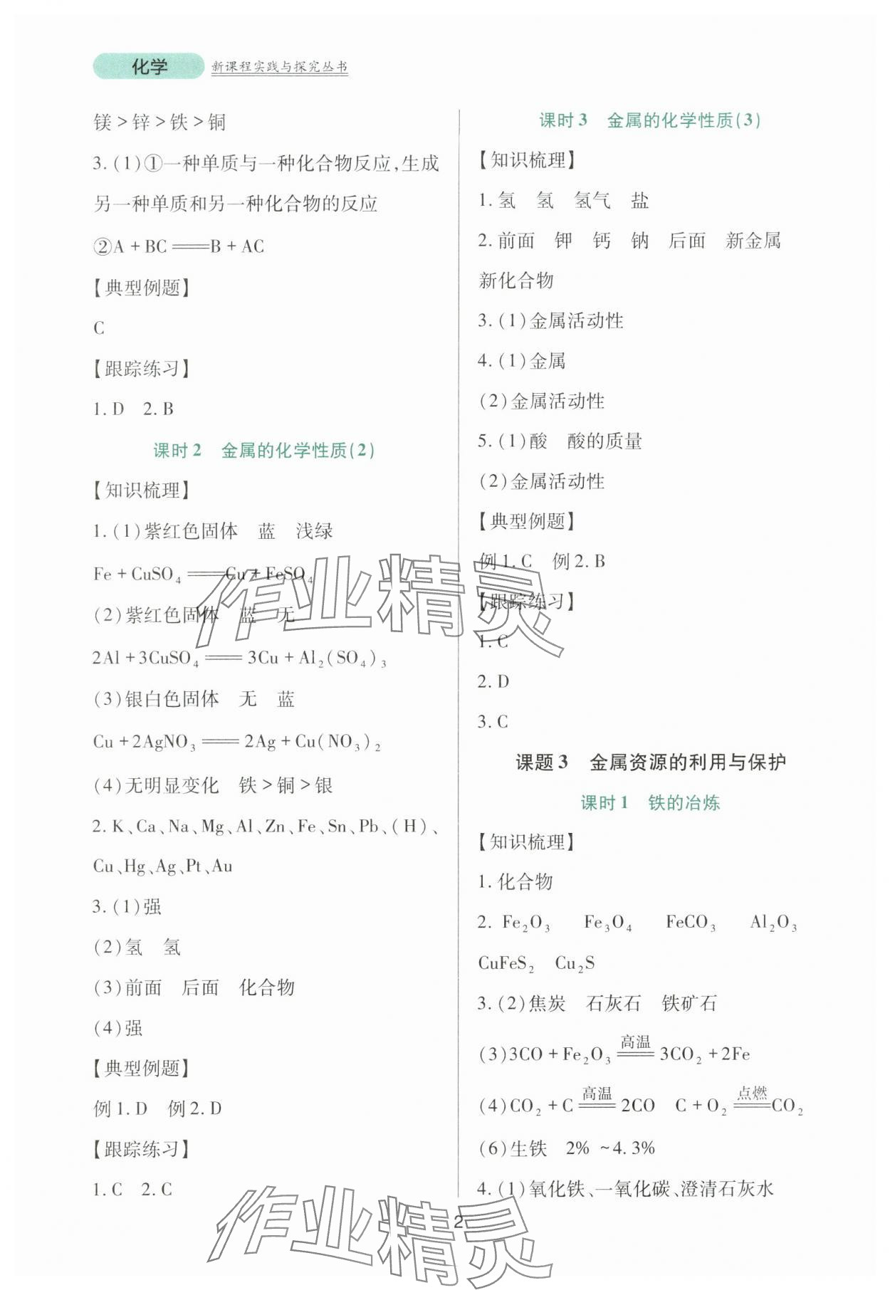 2024年新课程实践与探究丛书九年级化学下册人教版 第2页