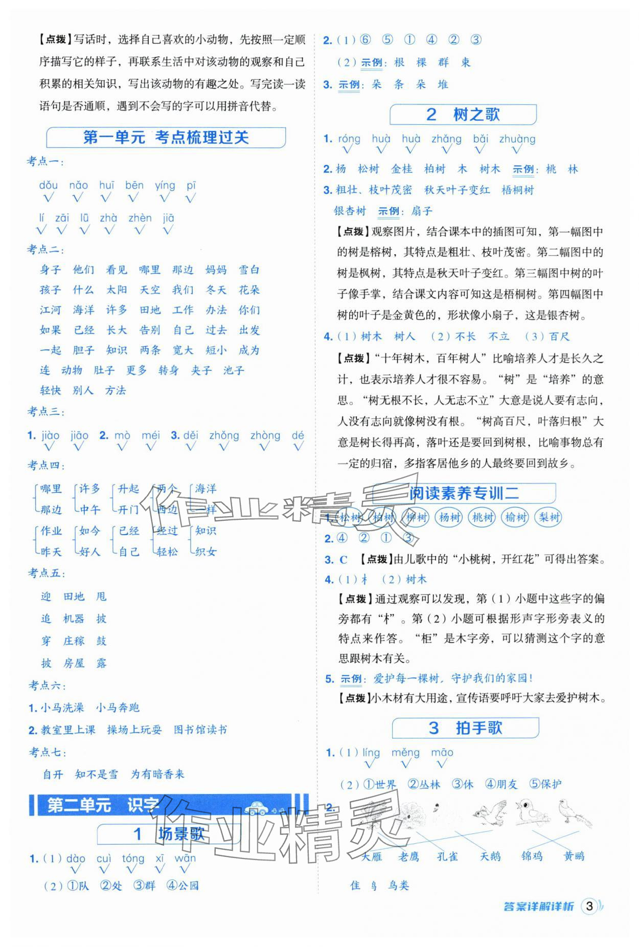 2025年综合应用创新题典中点二年级语文上册人教版浙江专版 参考答案第3页