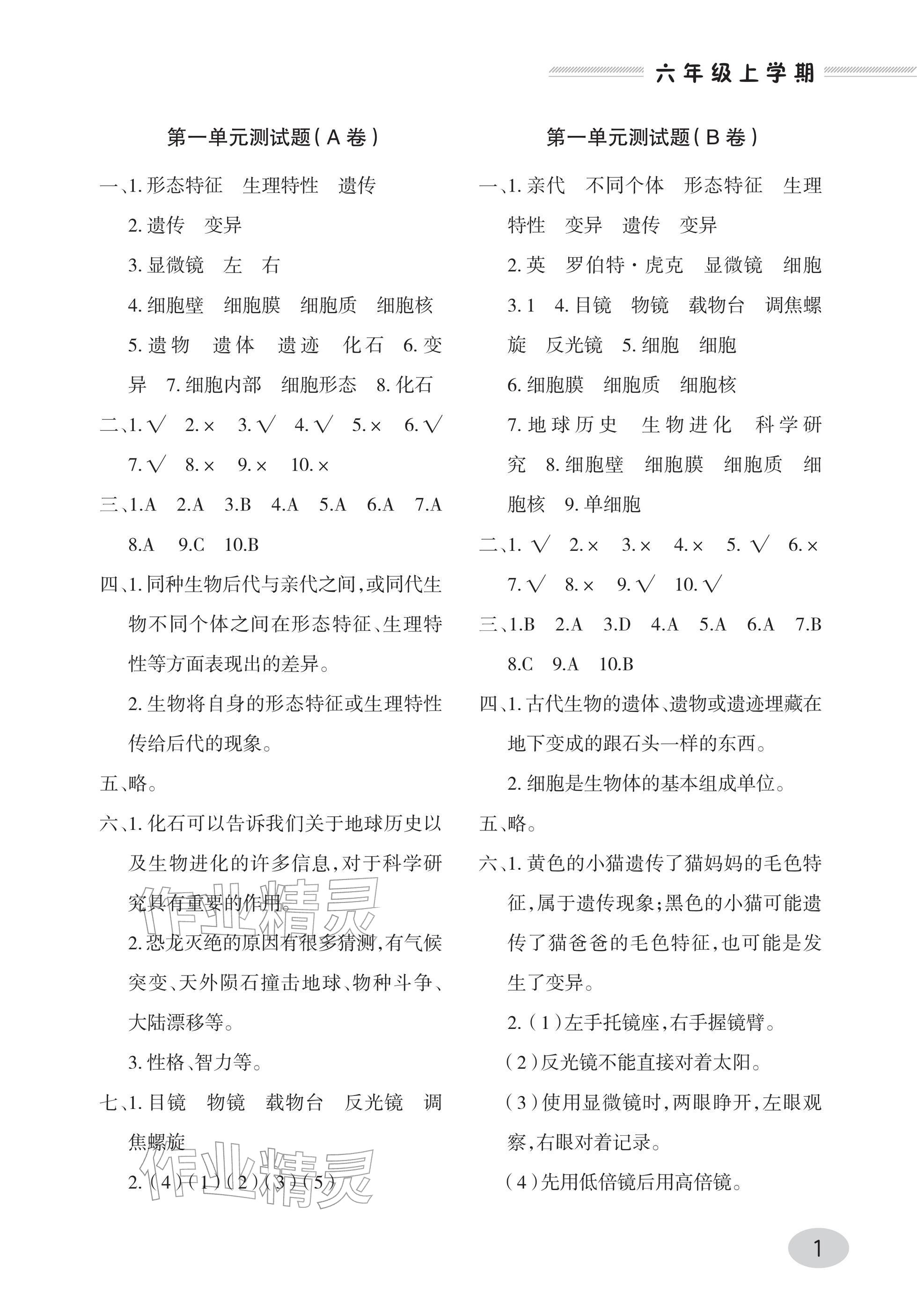 2025年单元自测试卷青岛出版社六年级科学上册青岛版 参考答案第1页