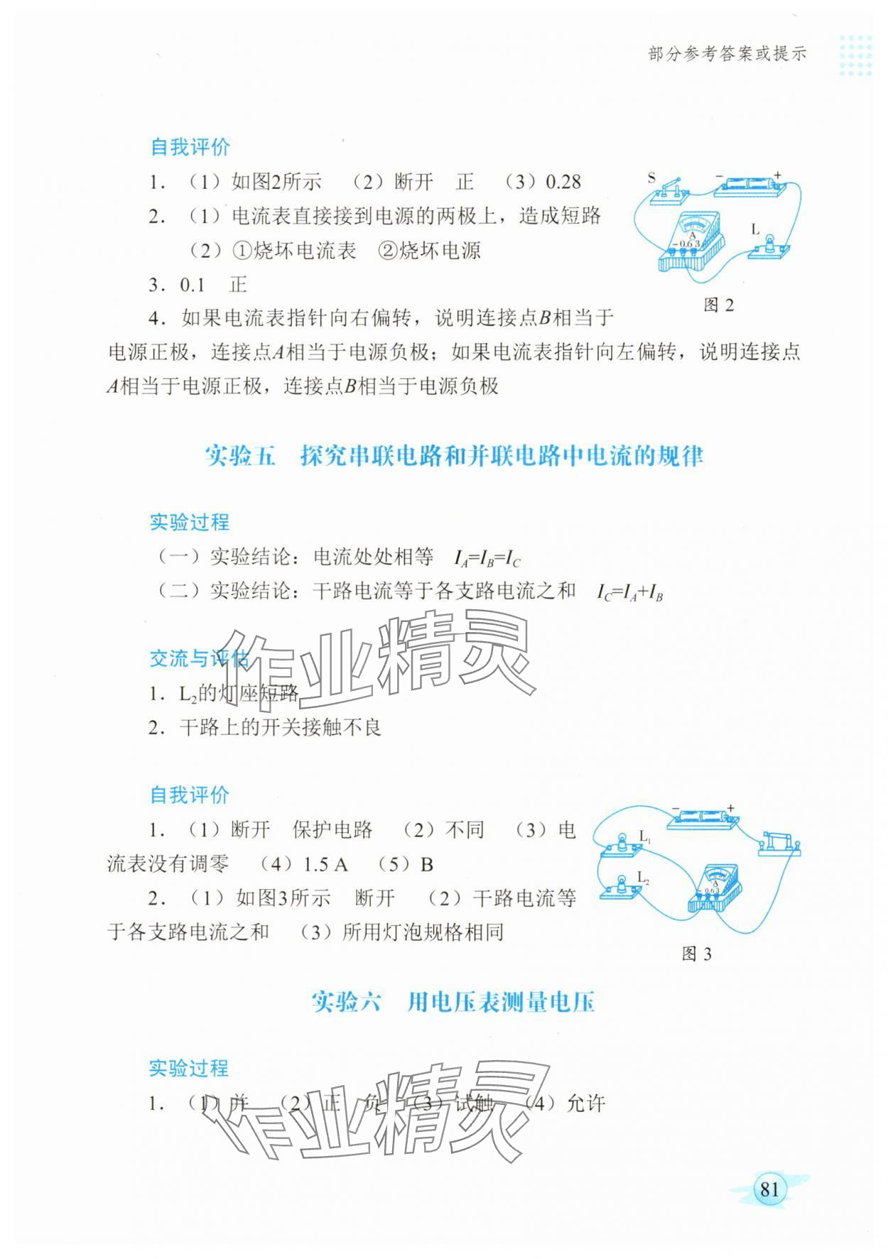 2025年物理实验册广东教育出版社九年级物理上册人教版 第3页