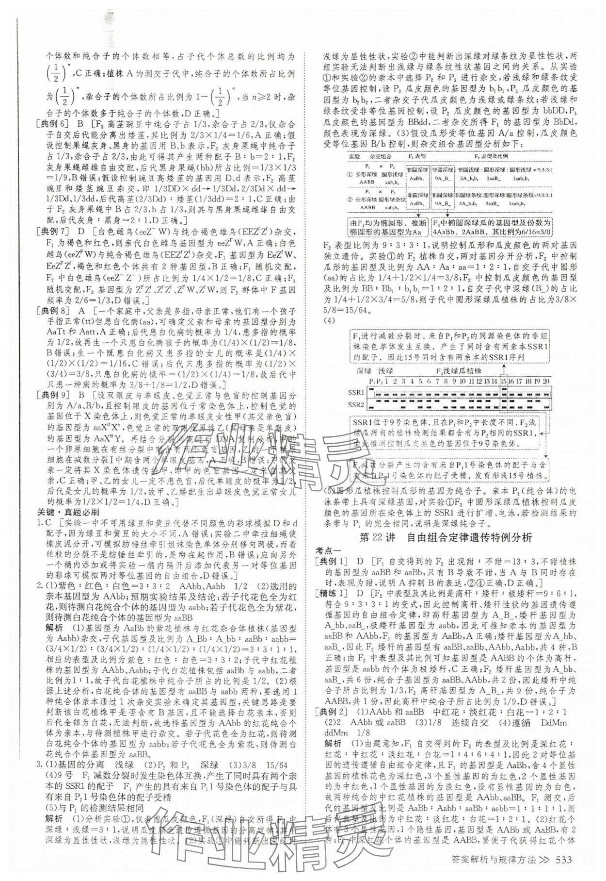 2025年創新設計高考總復習高中生物 參考答案第27頁