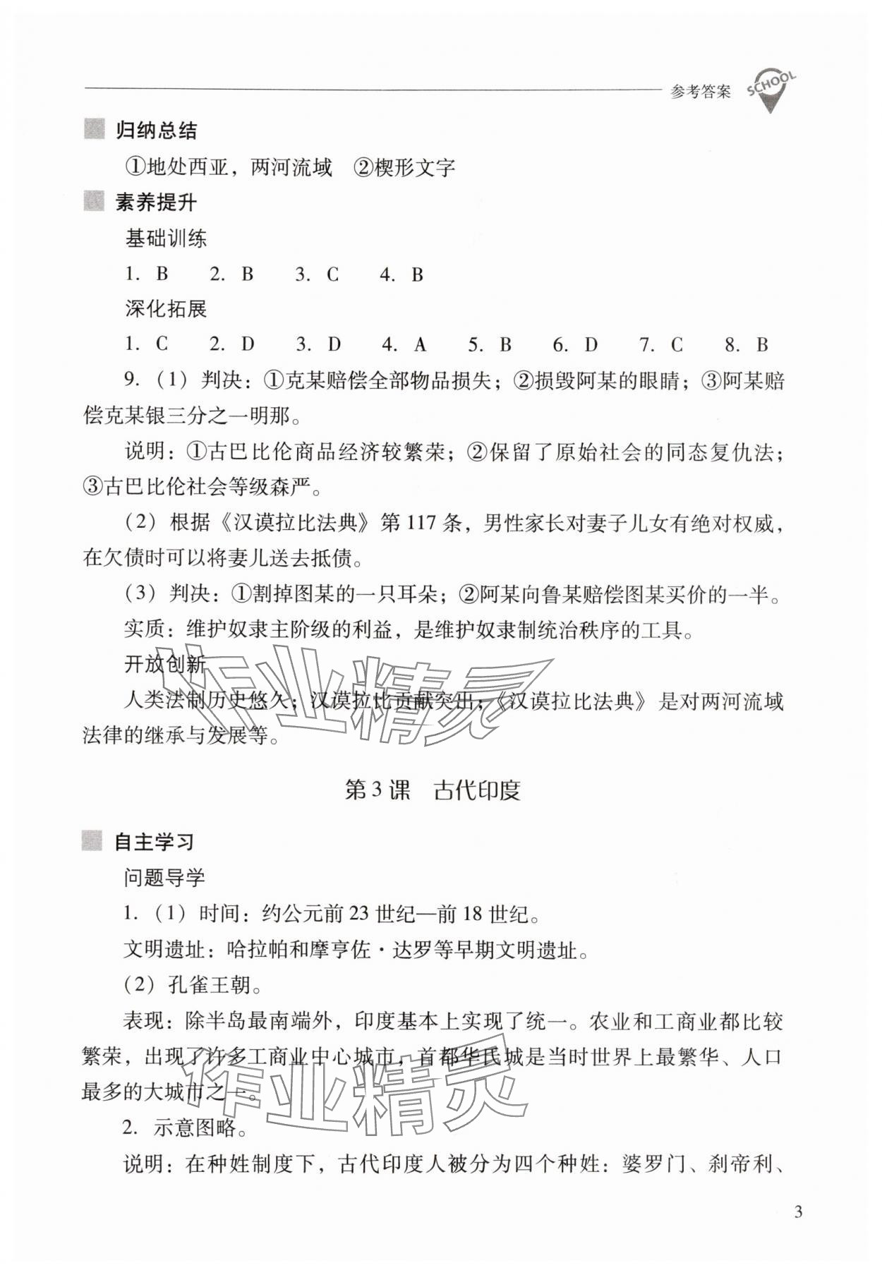 2025年新课程问题解决导学方案九年级历史上册人教版 参考答案第3页