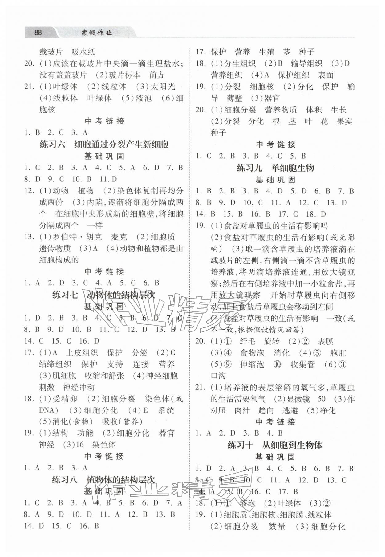 2026年寒假作业河北美术出版社七年级生物冀少版&nbsp;第2页