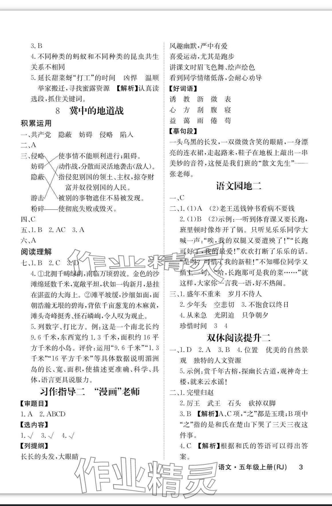 2023年課堂點睛五年級語文上冊人教版福建專版 參考答案第3頁