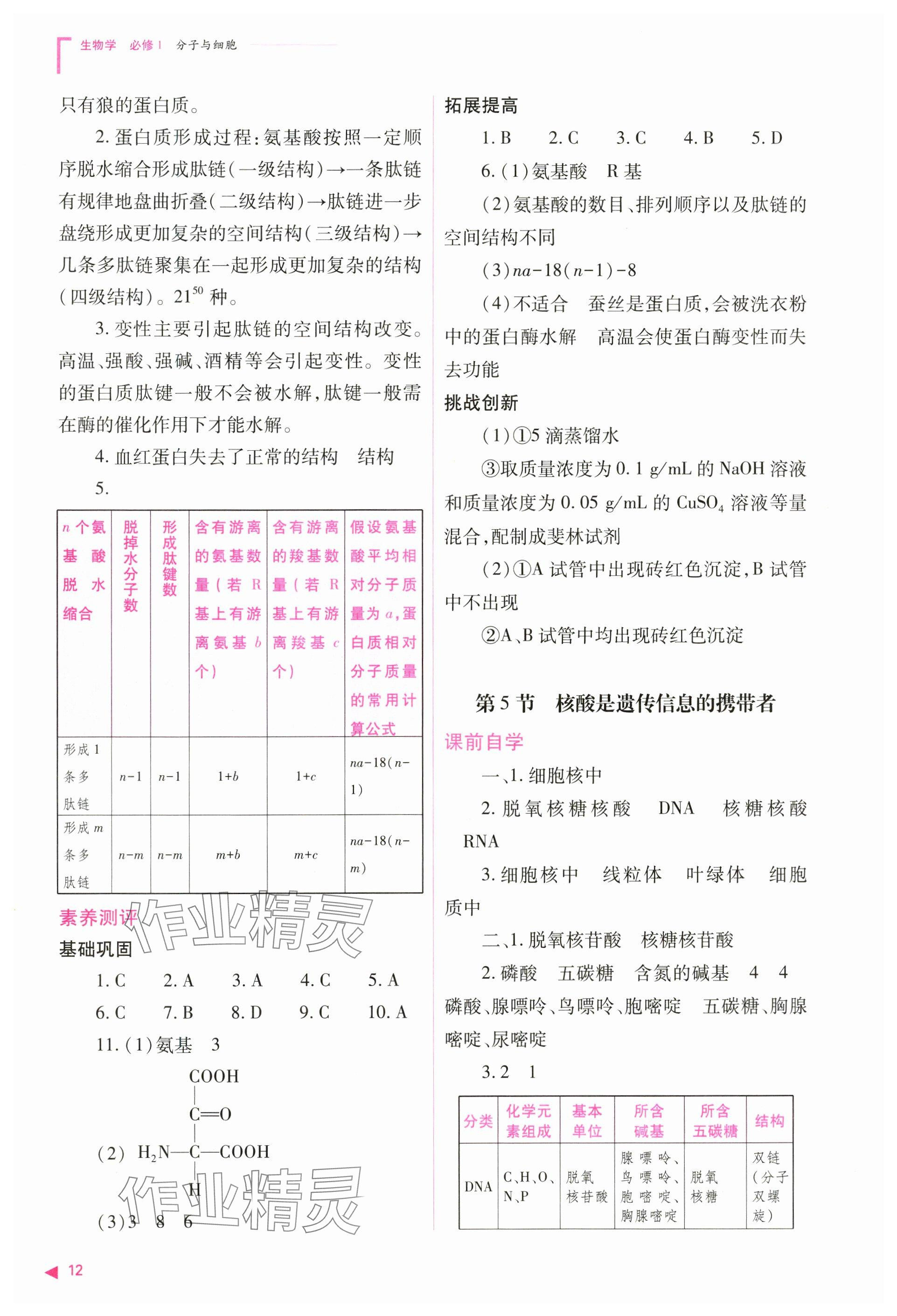 2024年普通高中新课程同步练习册高中生物必修1人教版 参考答案第12页