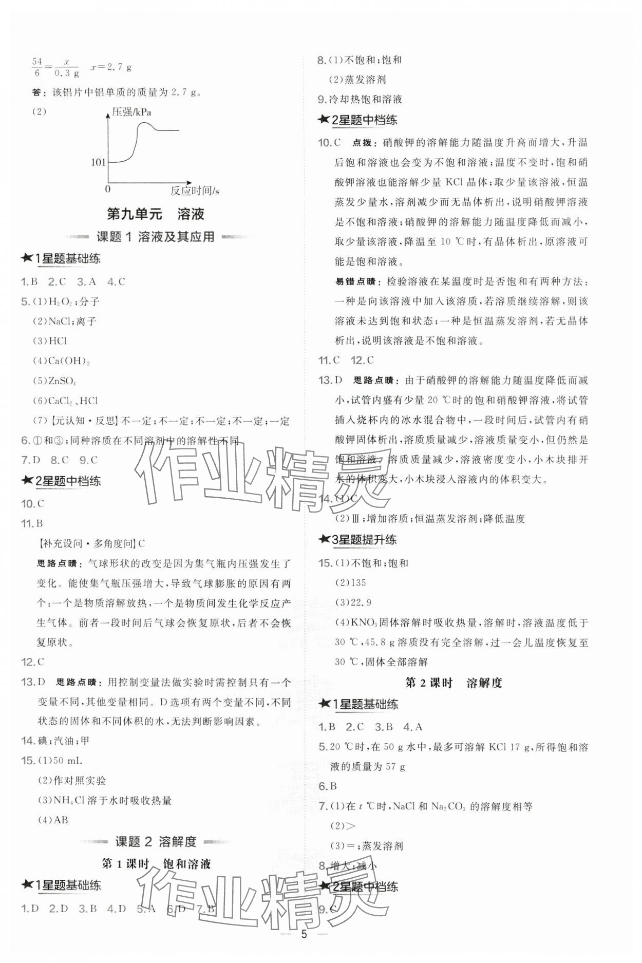 2025年点拨训练九年级化学下册人教版安徽专版 参考答案第5页