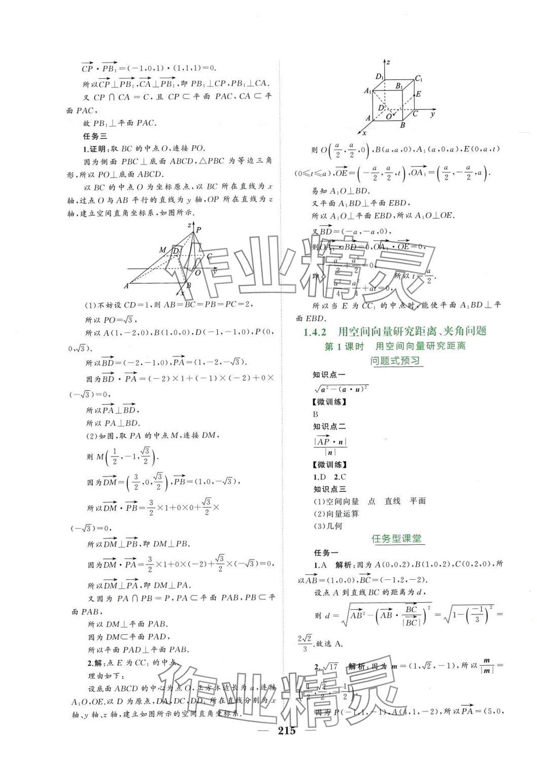 2024年点金训练高中数学选择性必修第一册人教版 参考答案第11页