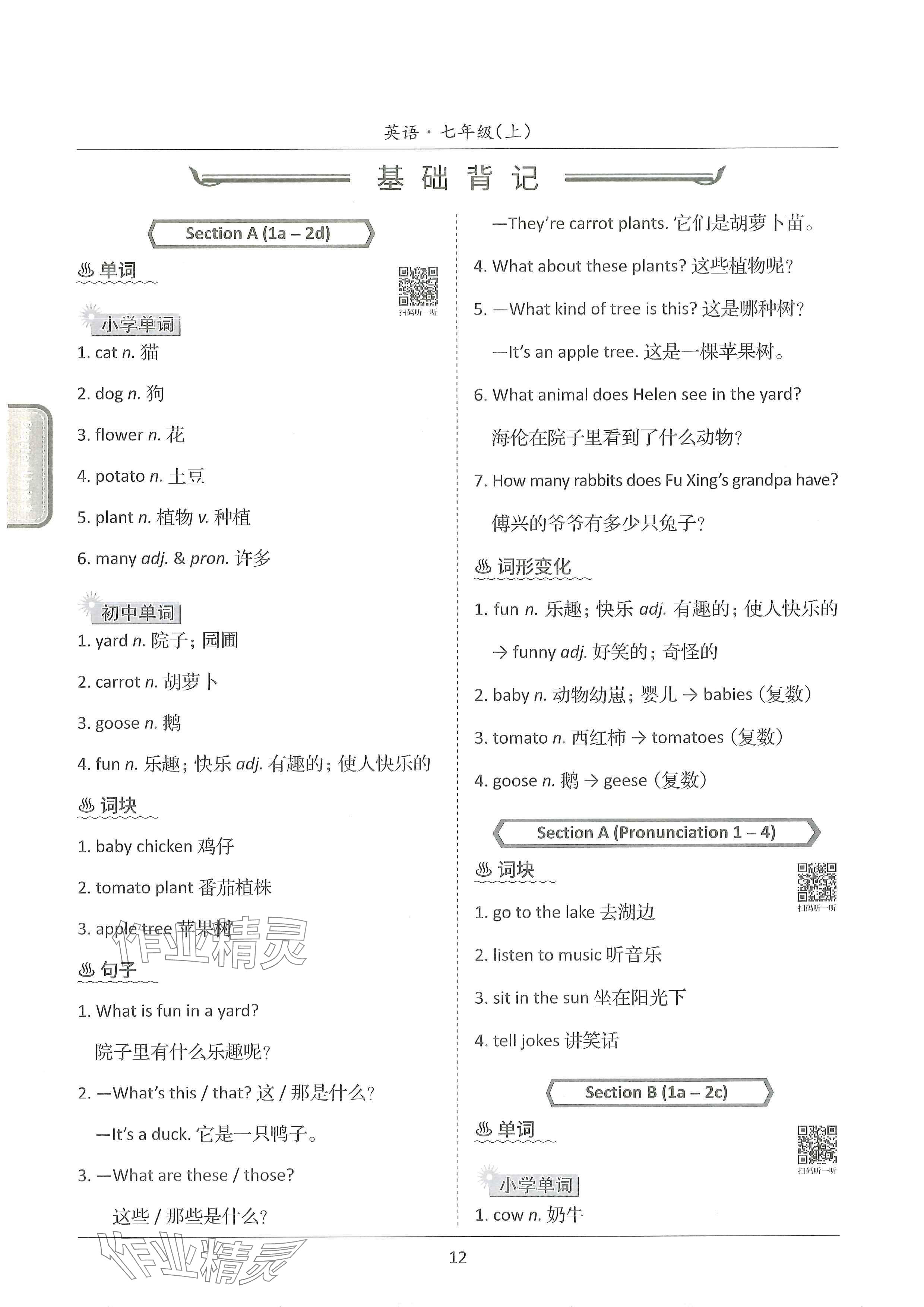2024年新视界单元复习七年级英语上册人教版&nbsp;参考答案第12页