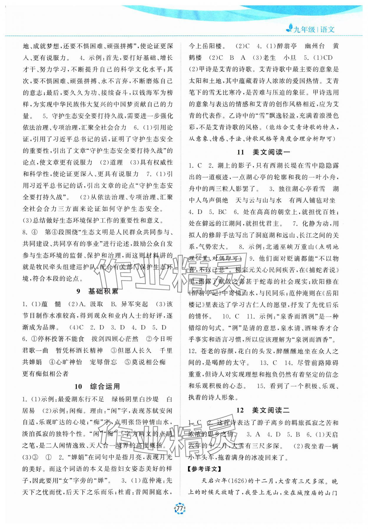 2025年寒假提優(yōu)集訓20天九年級語文 第3頁