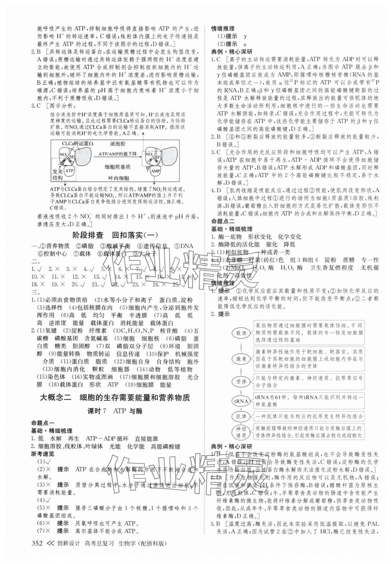 2025年创新设计高考总复生物浙科版 参考答案第8页